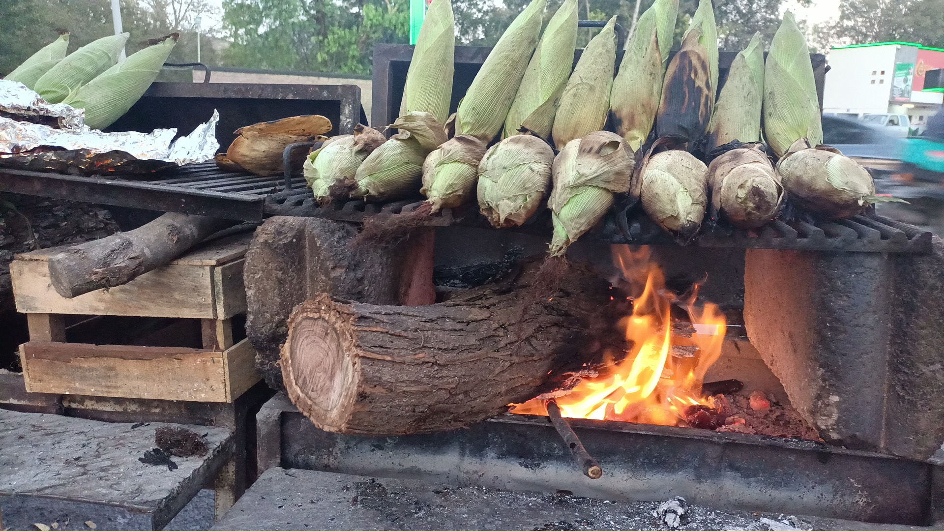 El rey del elote image 3