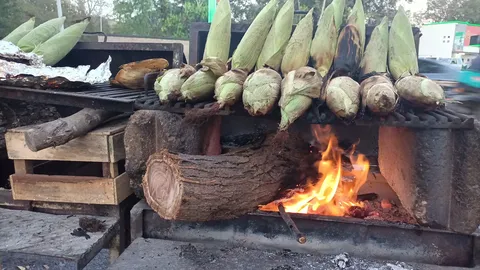 El rey del elote image 3