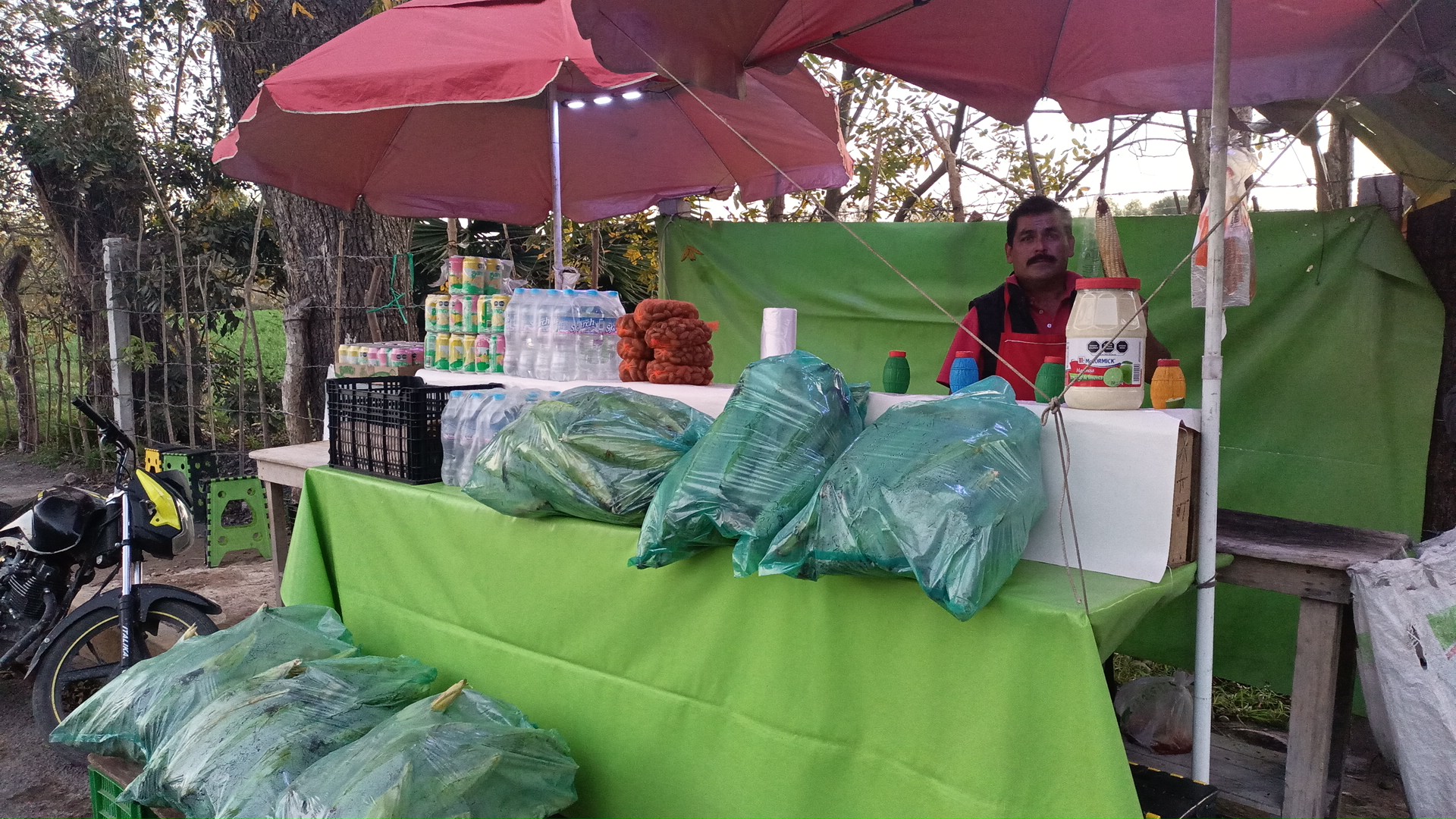 El rey del elote image 4