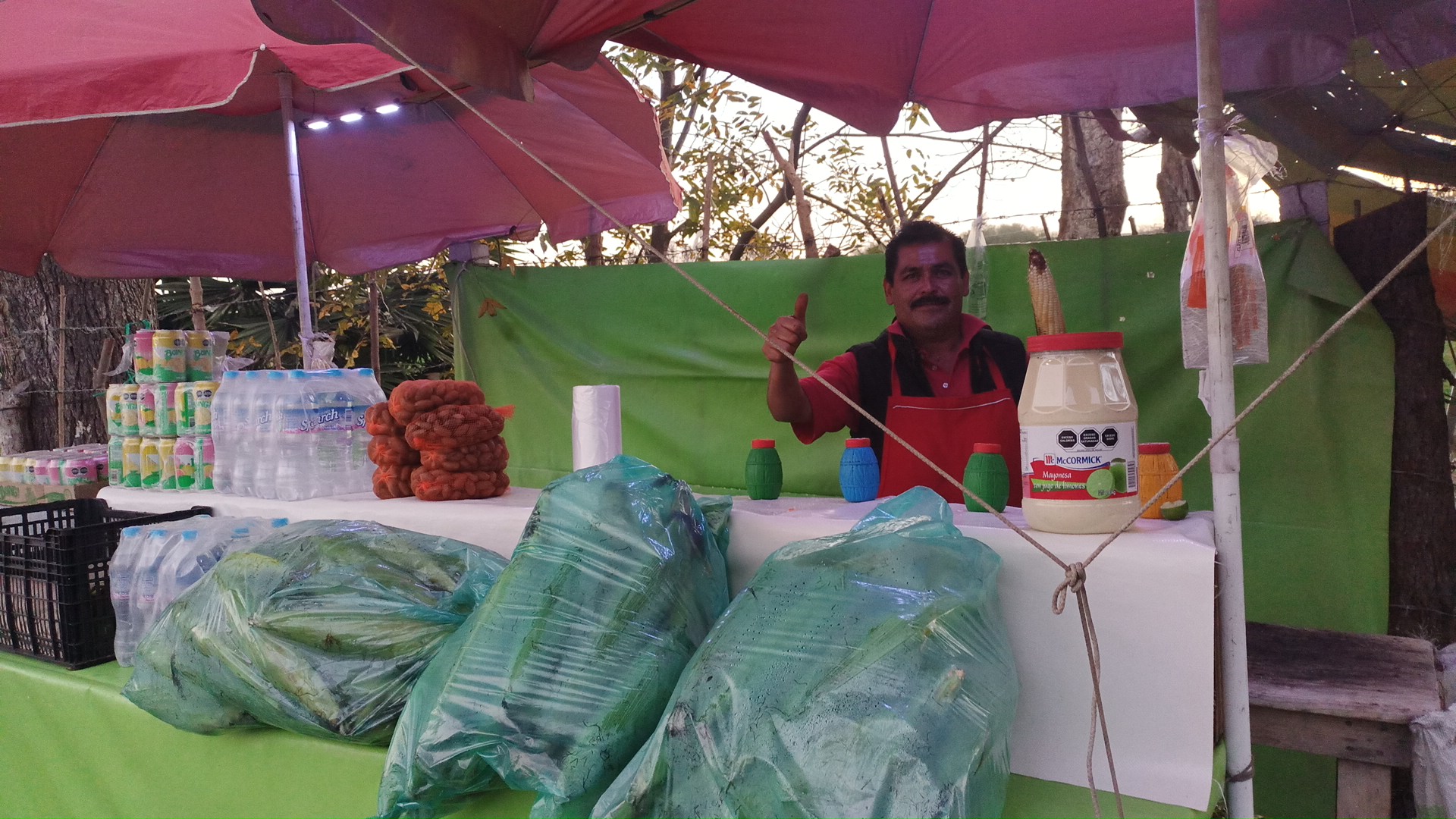 El rey del elote image 6