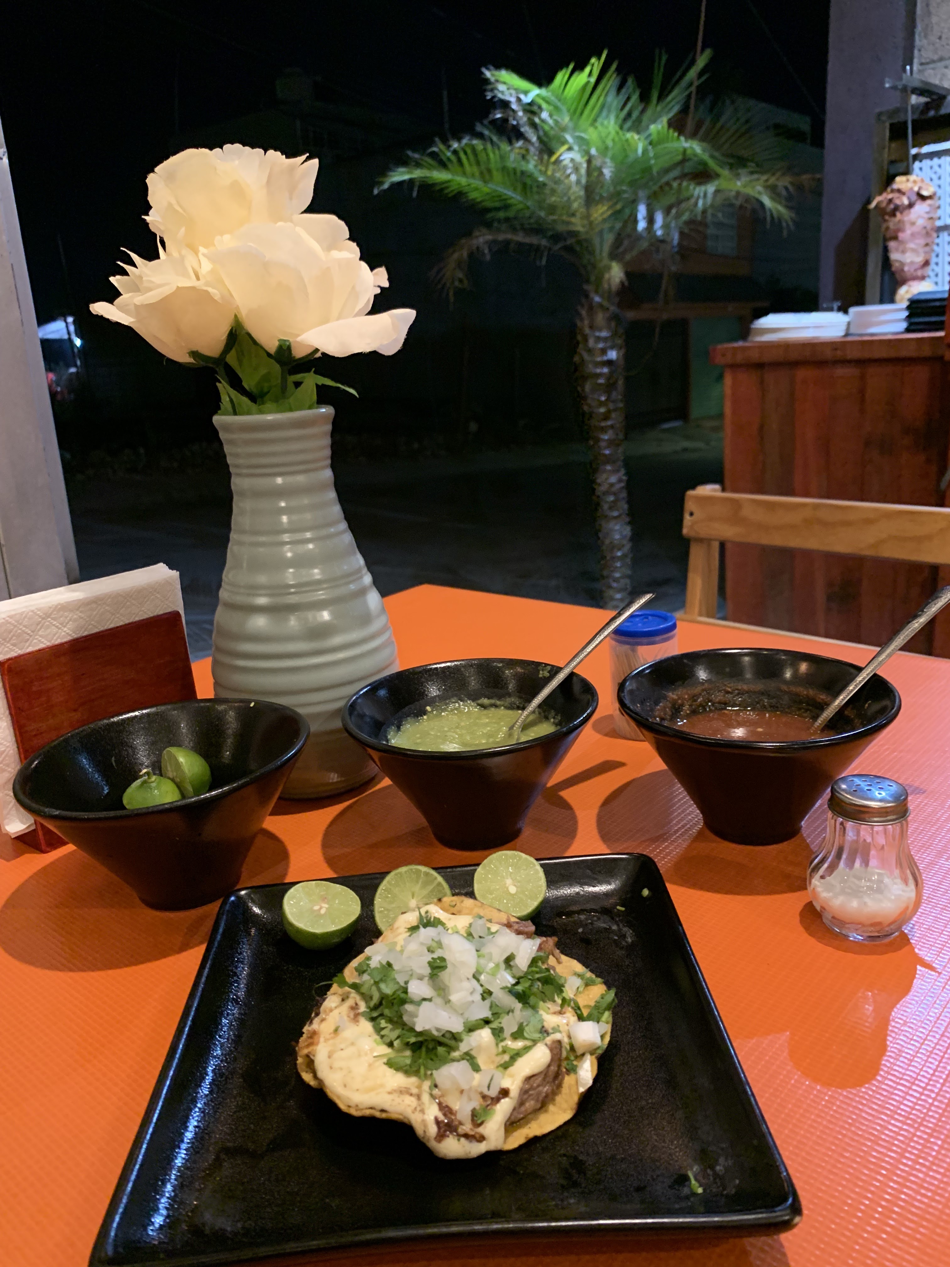 Dinotacos image 6