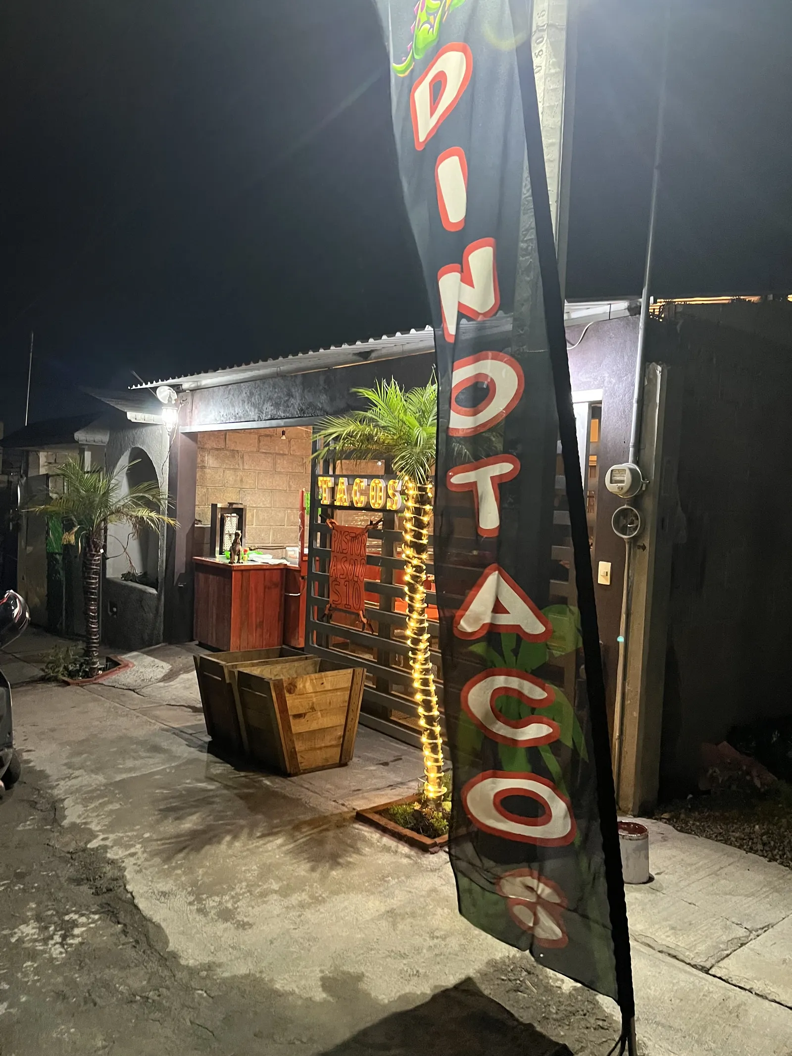 Dinotacos image 9