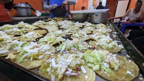 Chalupas Rosy l image 1