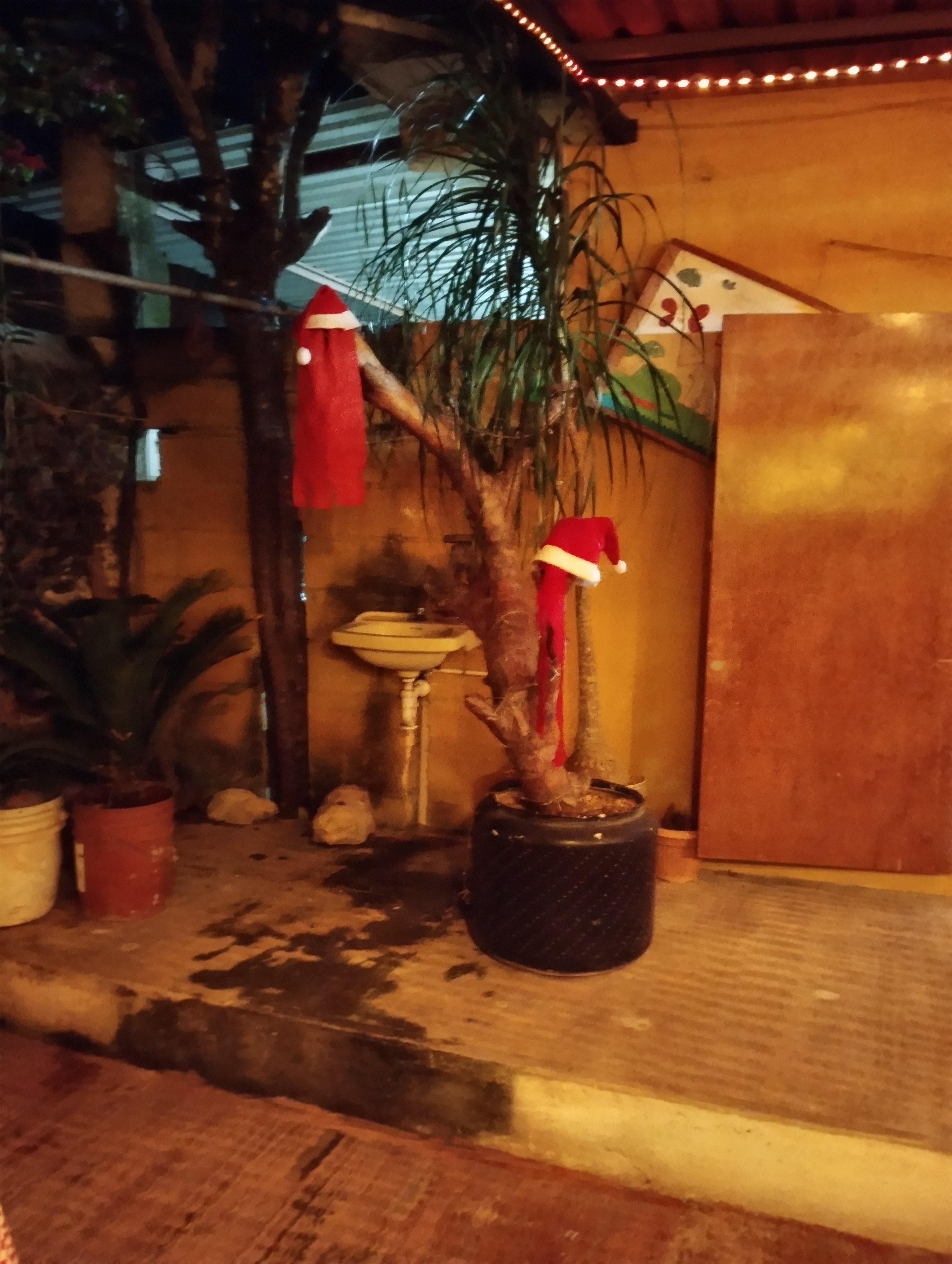 El Rinconcito Italiano image 3