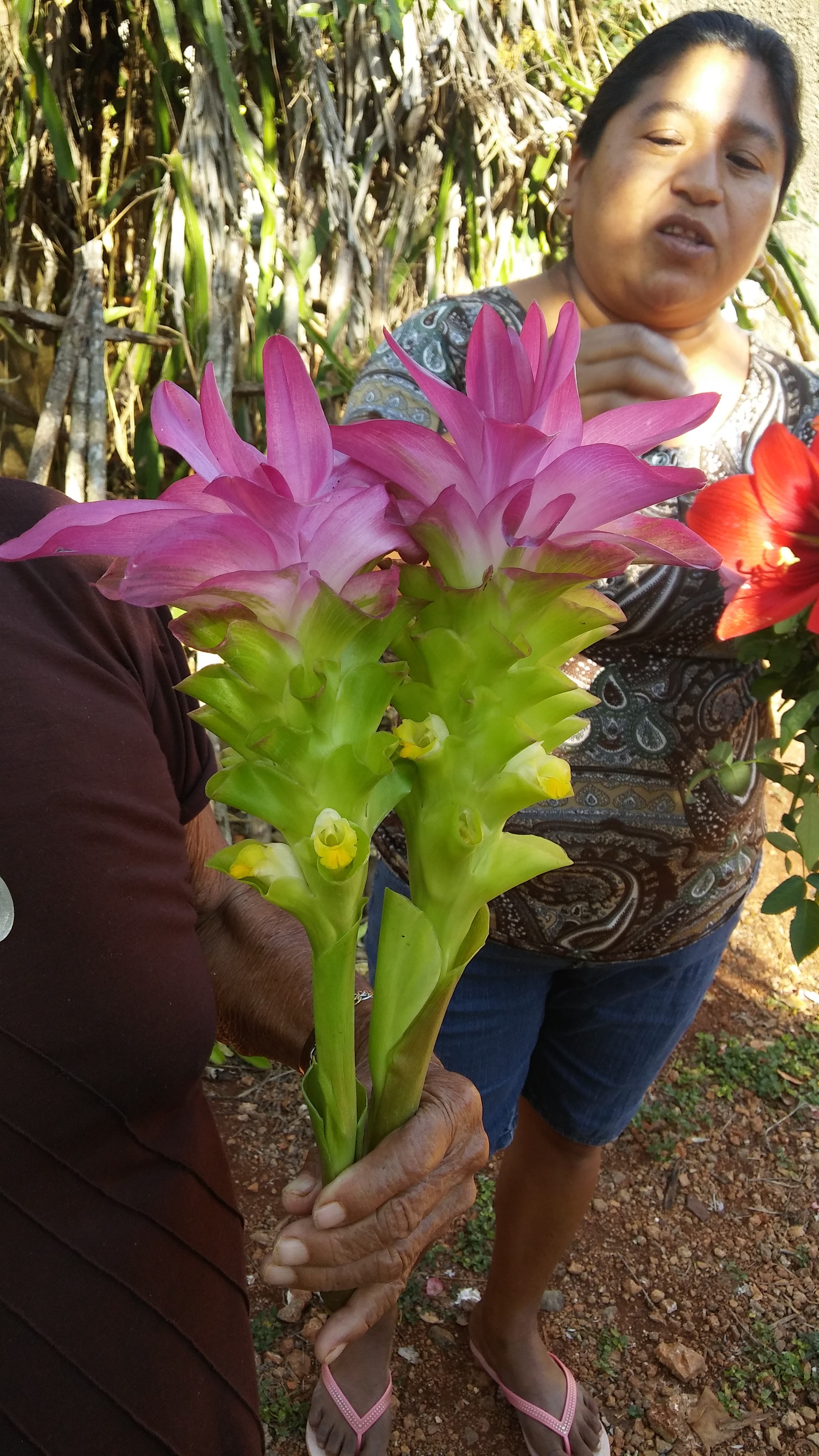 Paradero Yaxcopil image 6