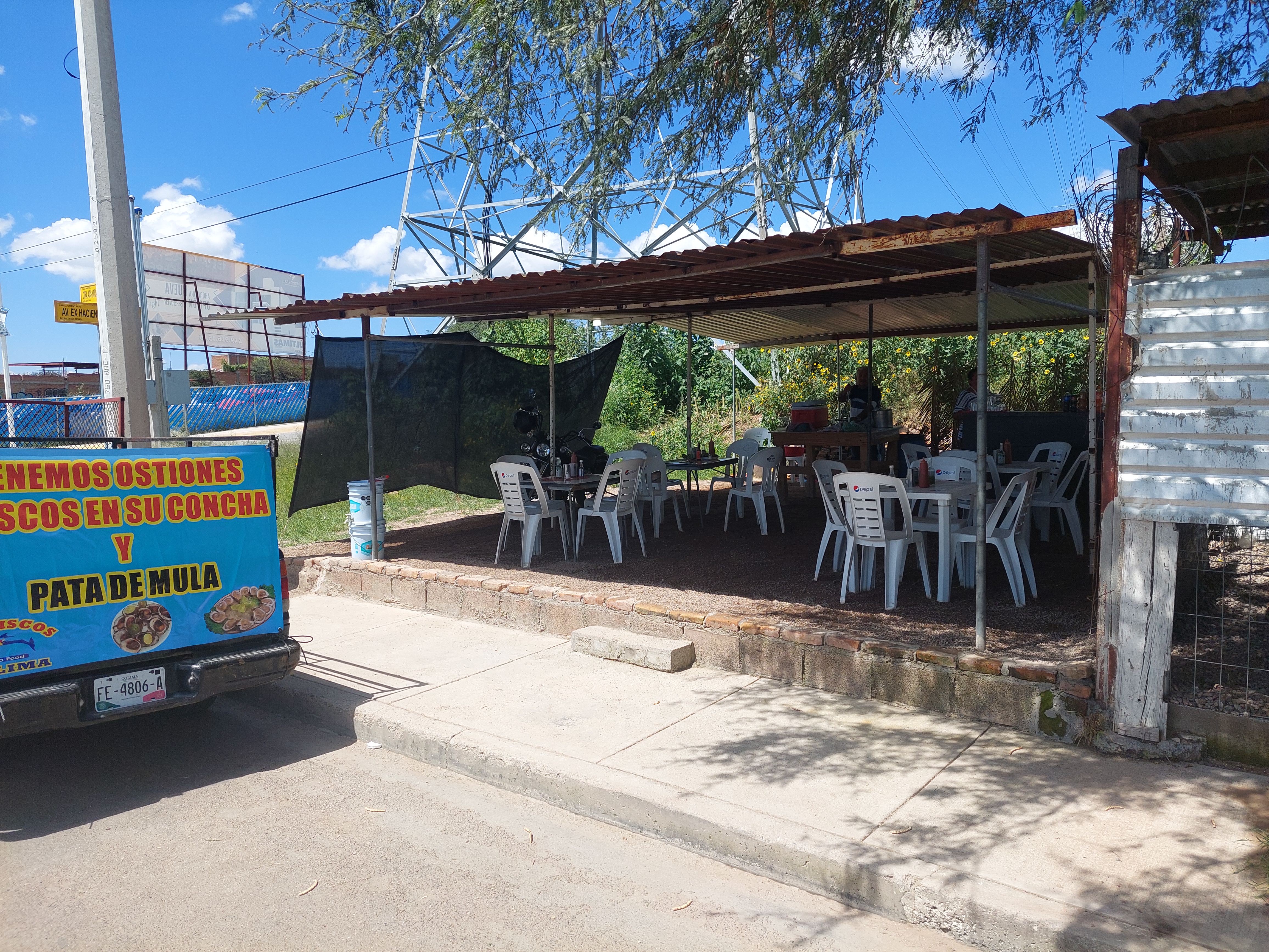 Moriscos colima image 2