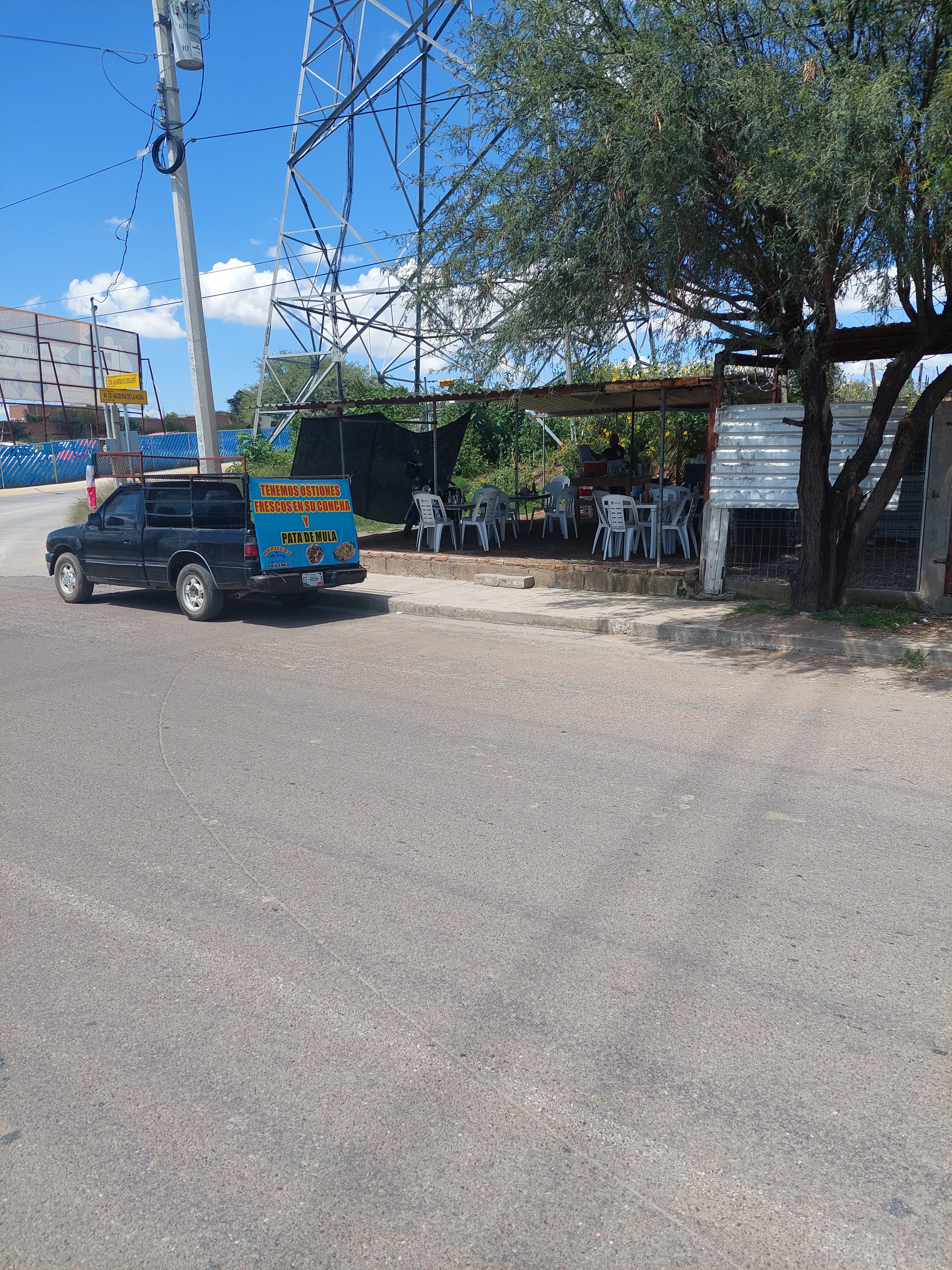 Moriscos colima image 5