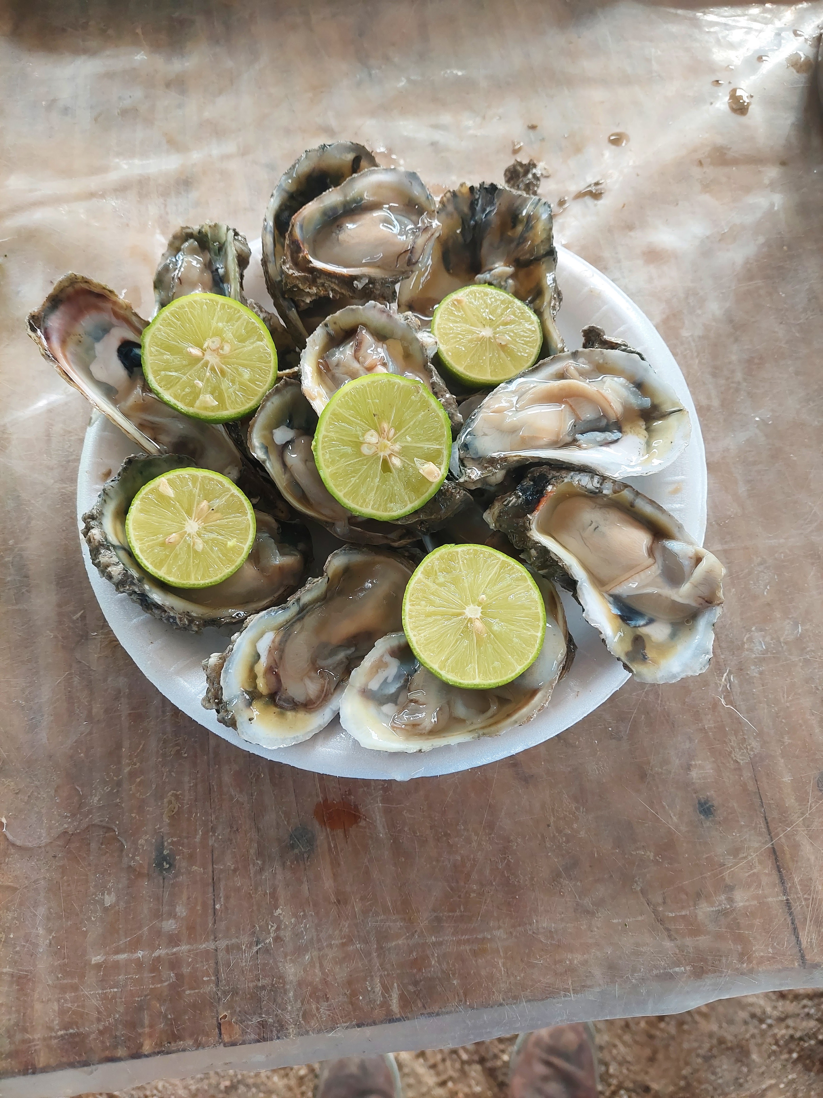 Moriscos colima image 8