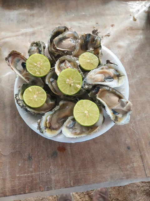 Moriscos colima image 8
