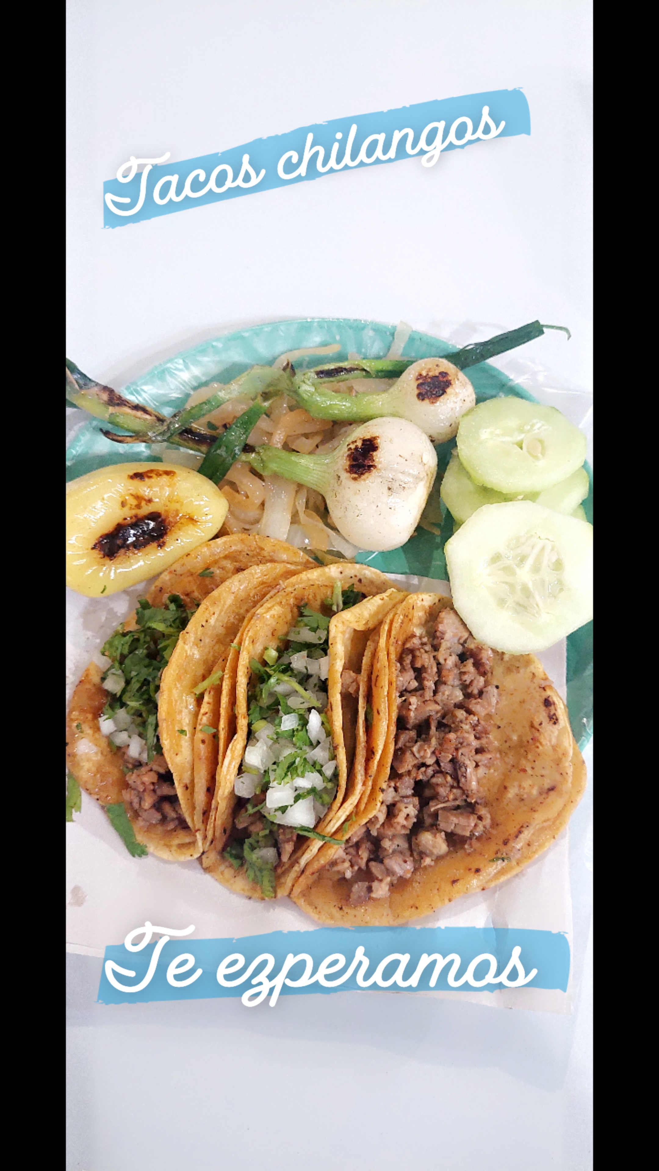 Tacoz chilangoz image 4