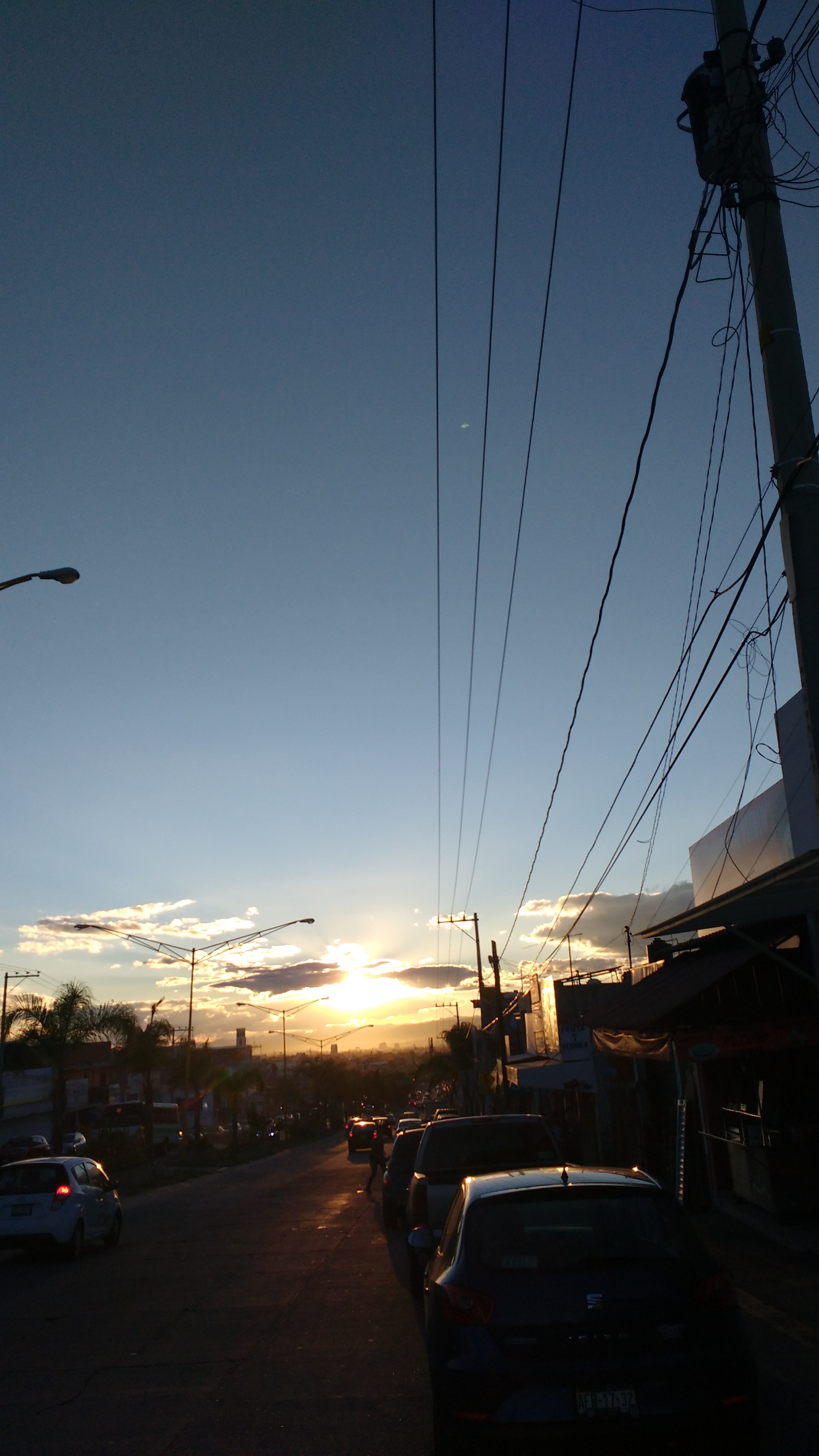 LA JAIBITA MARISCOS image 7