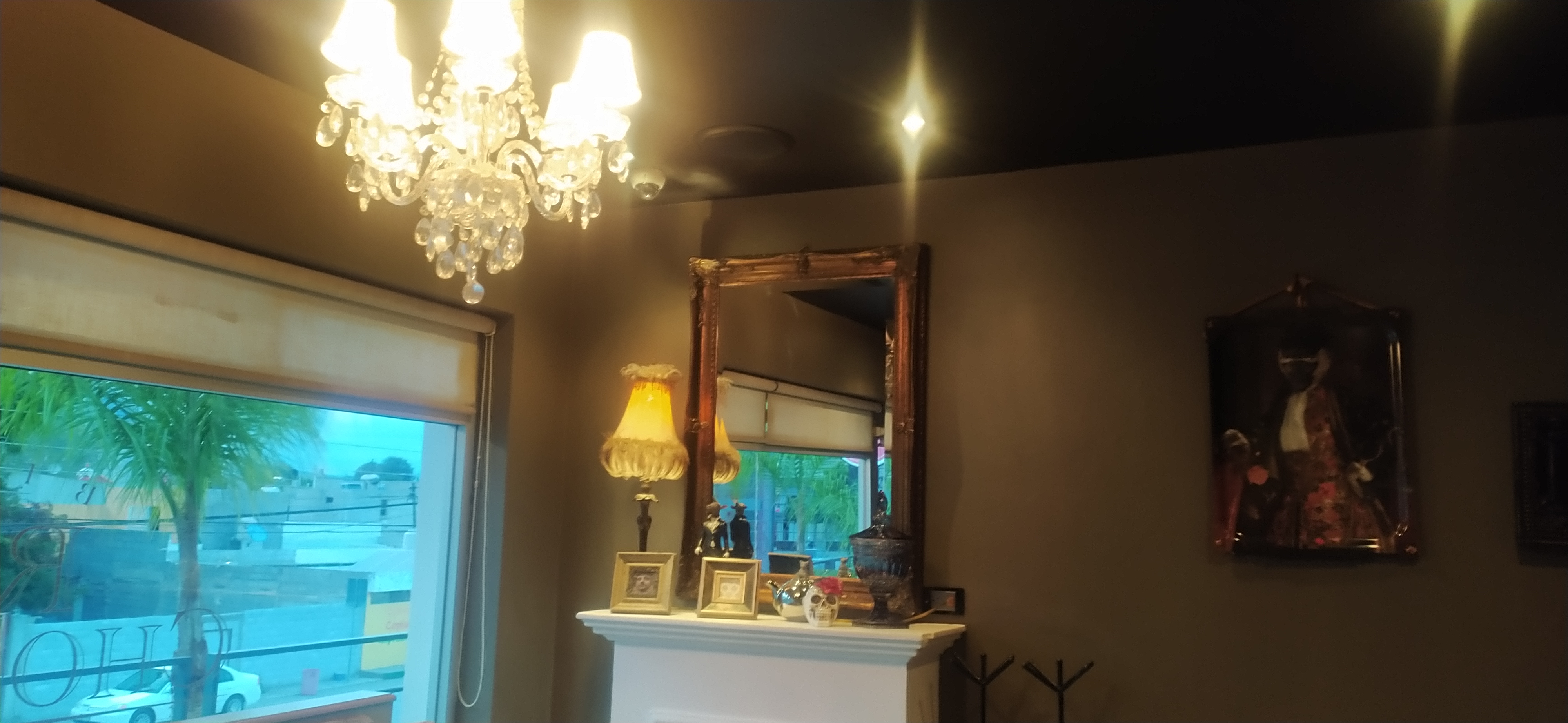 Rosa Chocolate image 7