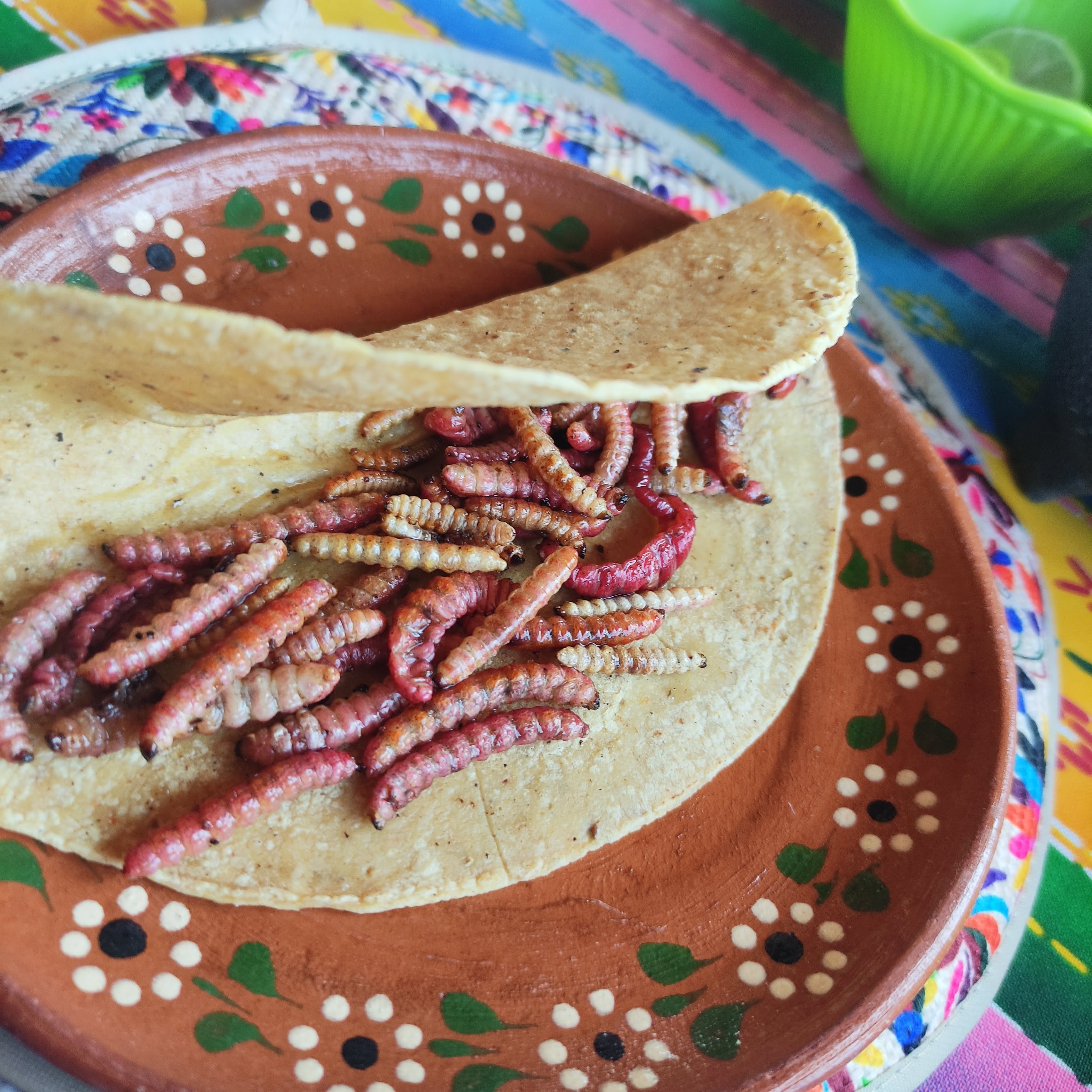 Restaurante Los Magueyes image 5