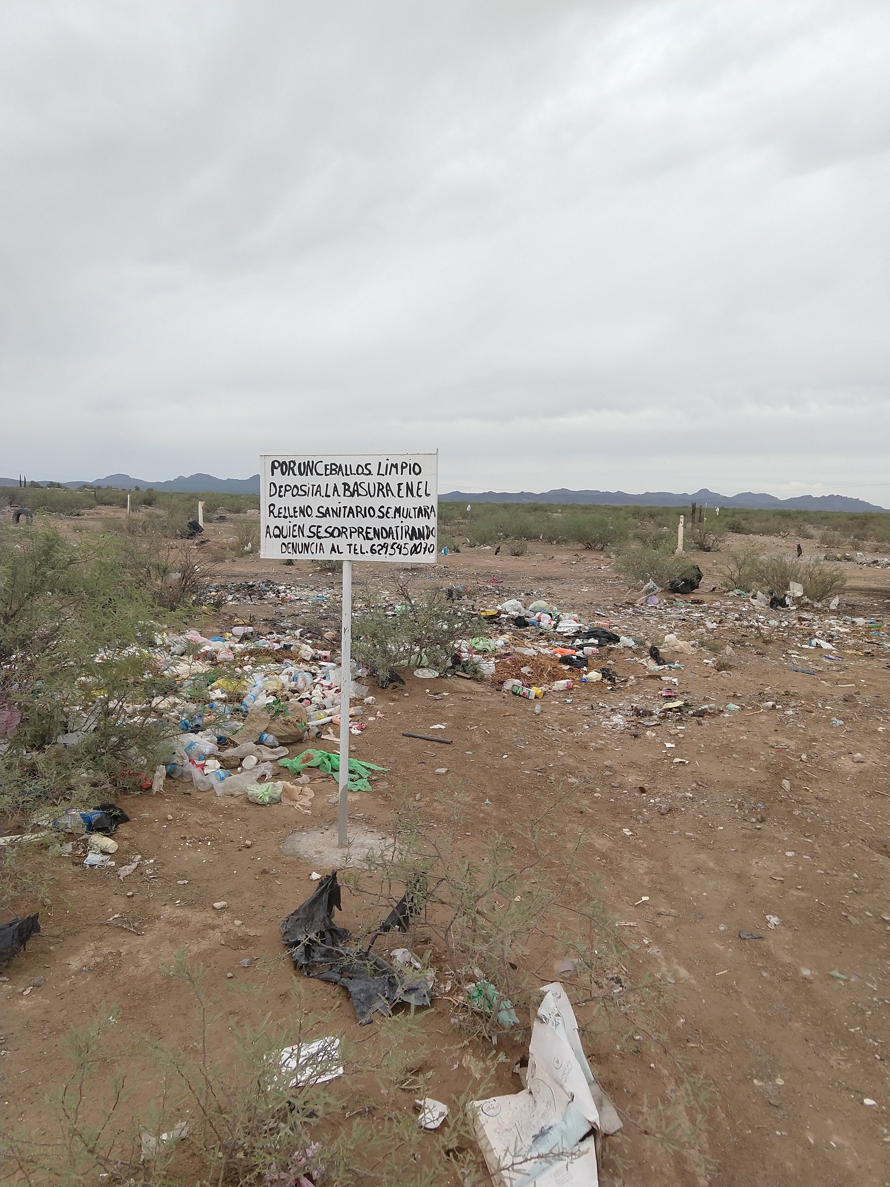 Locoslonches.com image 9