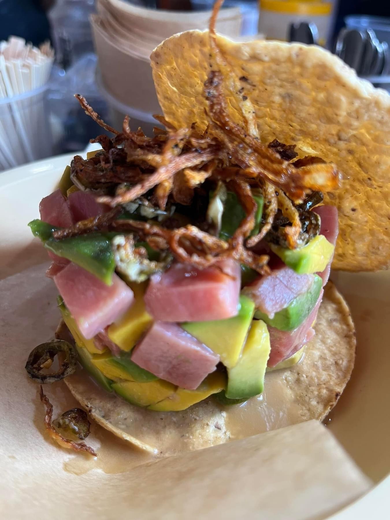 Gordito Fish image 2