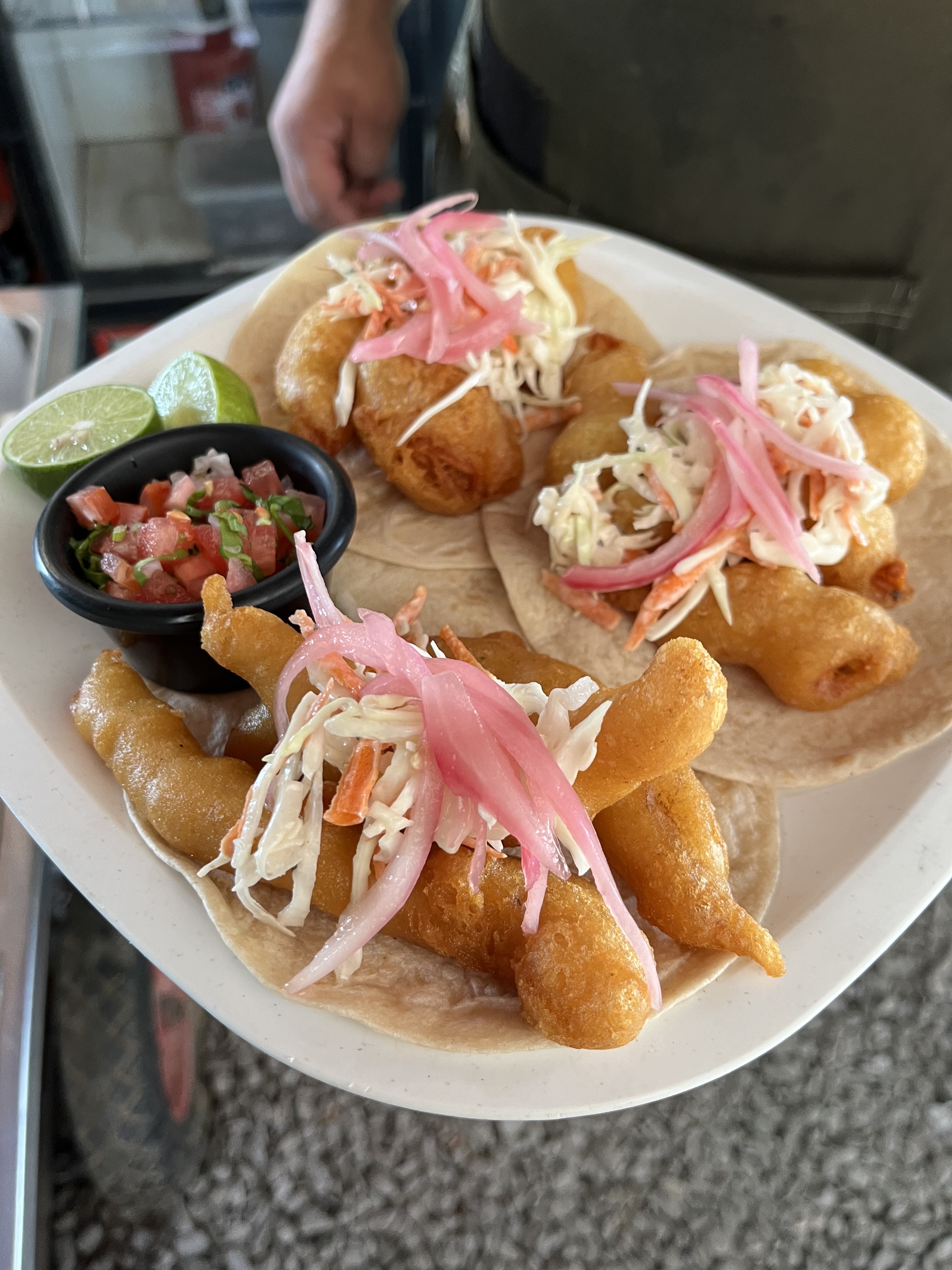 Gordito Fish image 4