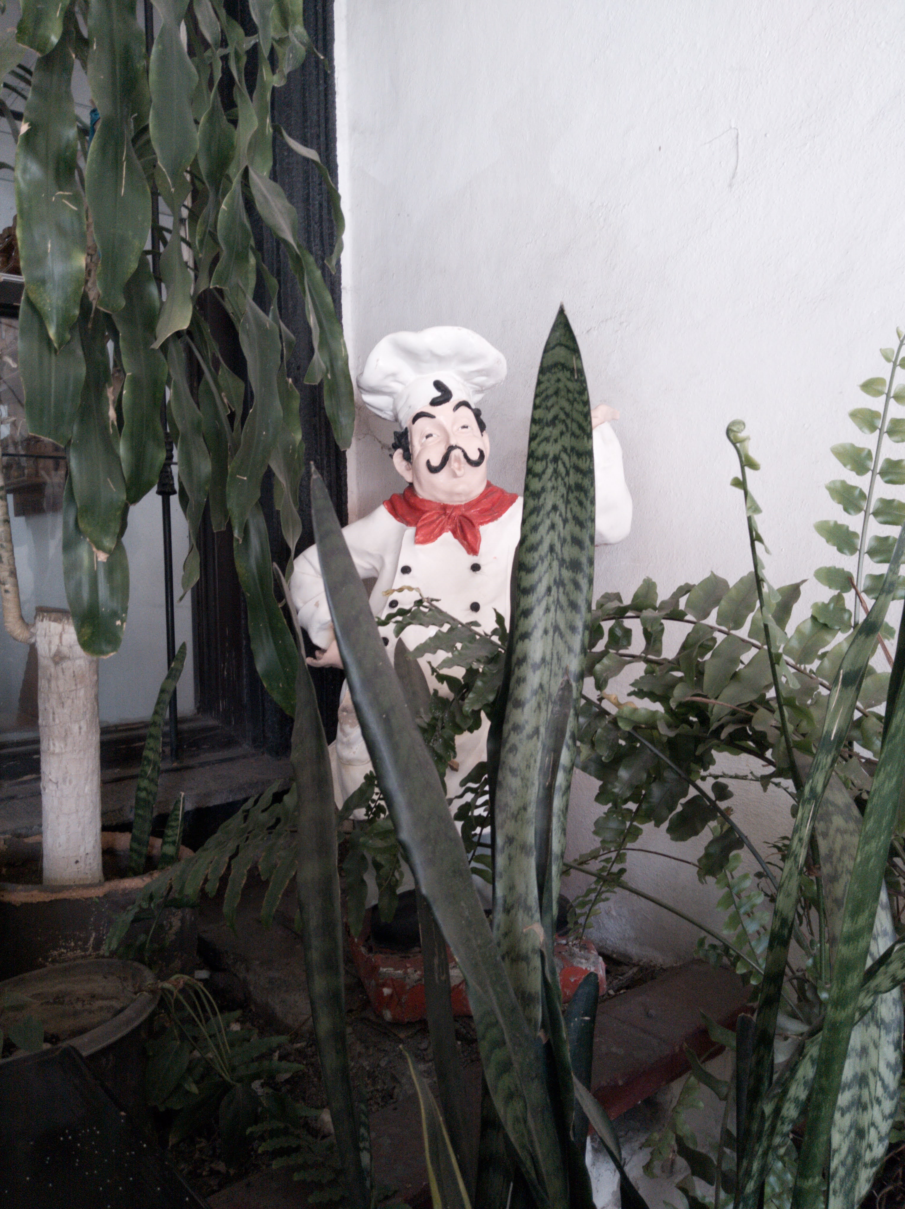 Restaurante Las Palomas image 5