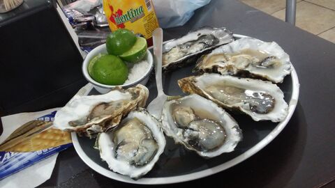 Marisco El Gordo image 8