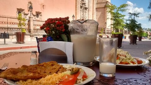 Rapid Lunch image 5