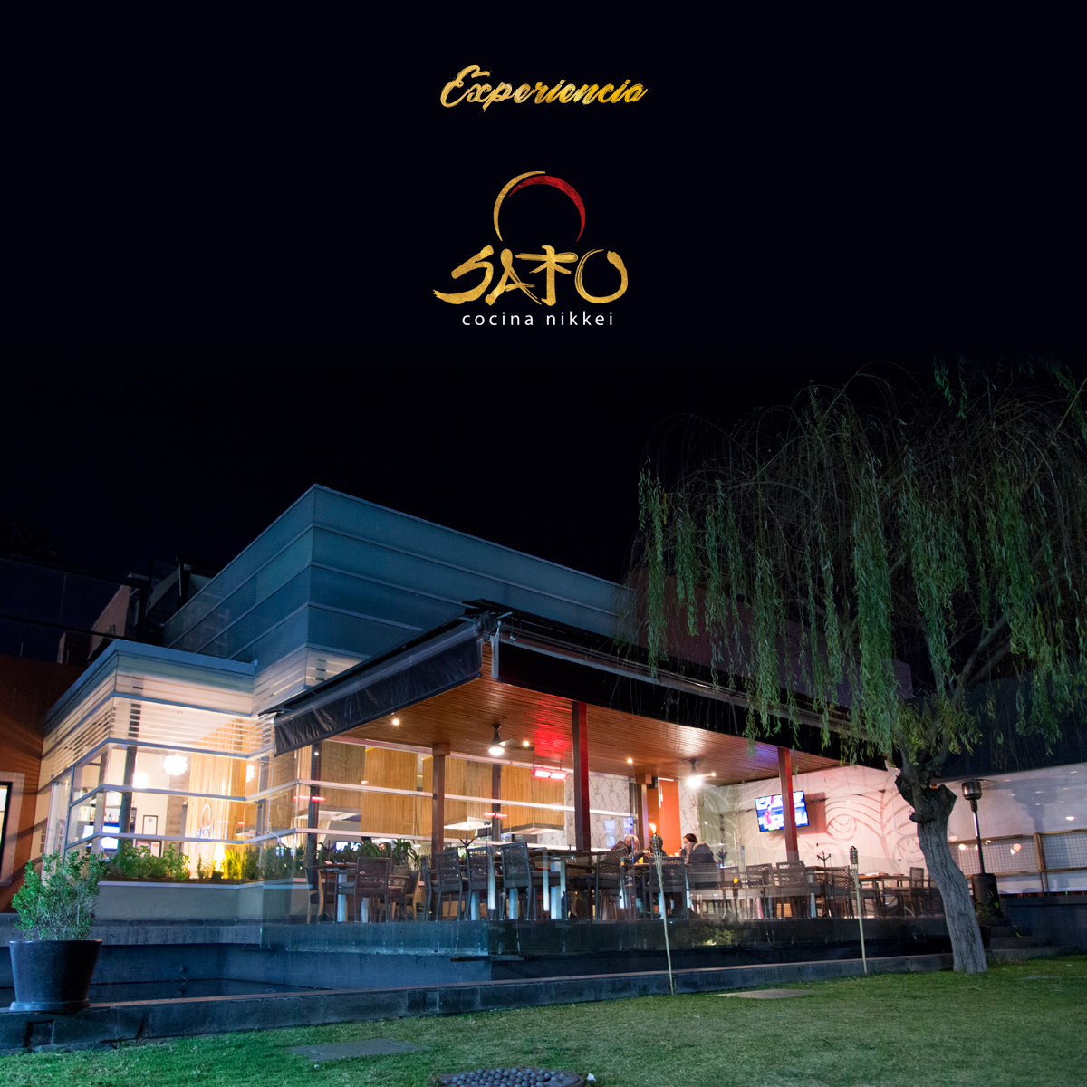 Sato Restaurant image 8