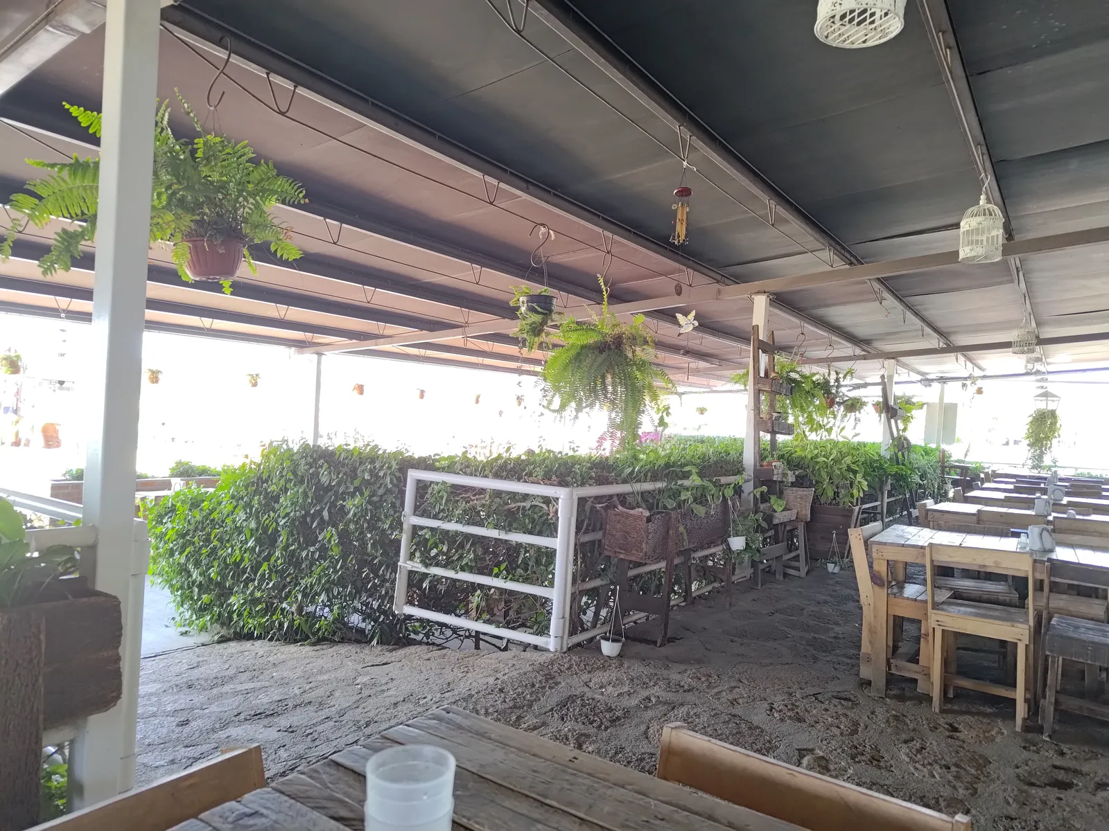 Restaurante El Porvenir image 4