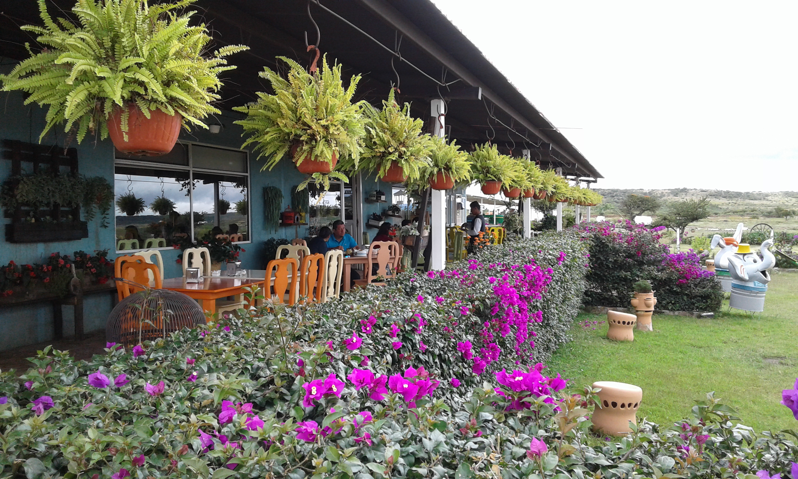 Tres Jarros Restaurant image 5