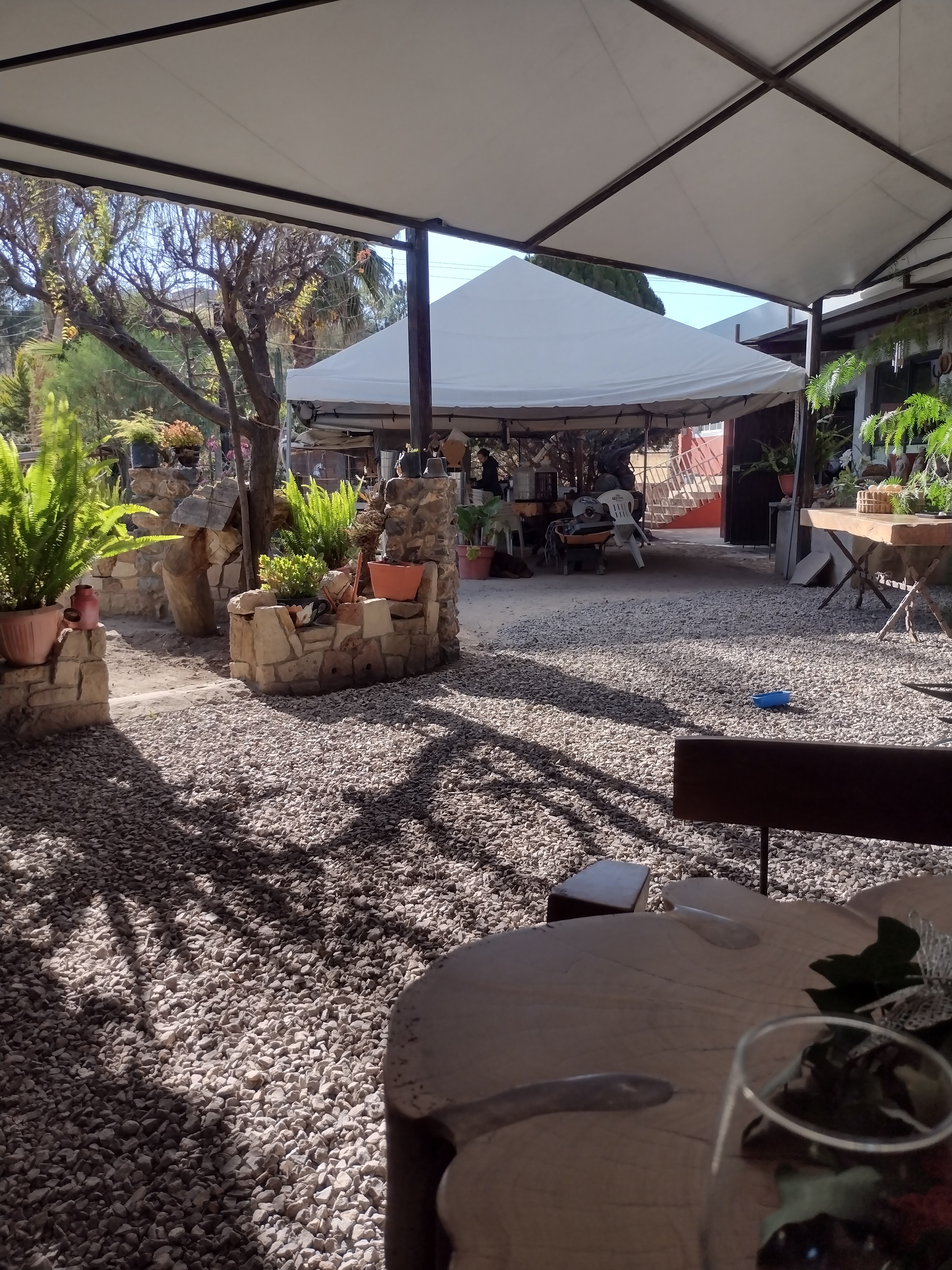 Hacienda Los Caballos image 1