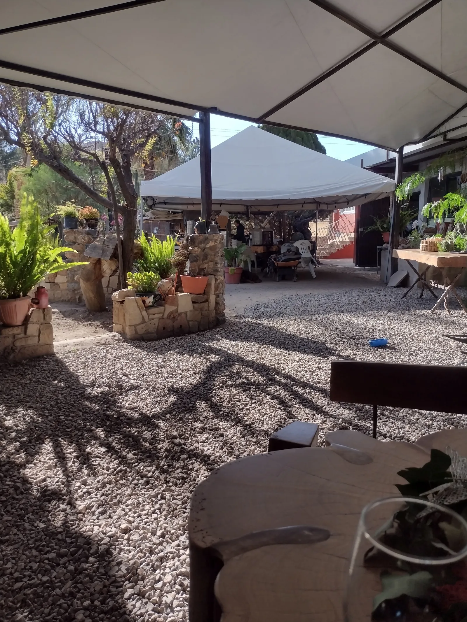 Hacienda Los Caballos image 1