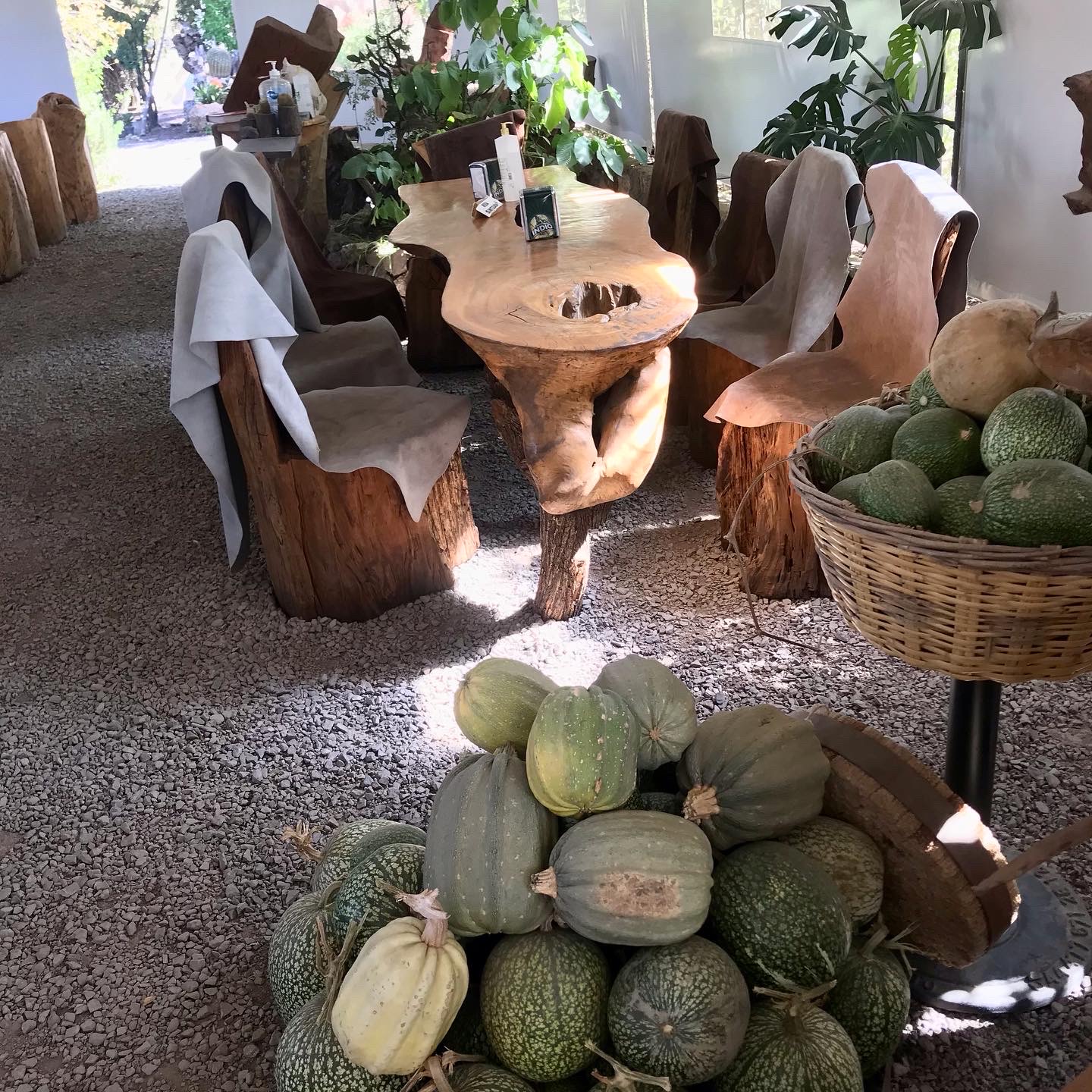 Hacienda Los Caballos image 5