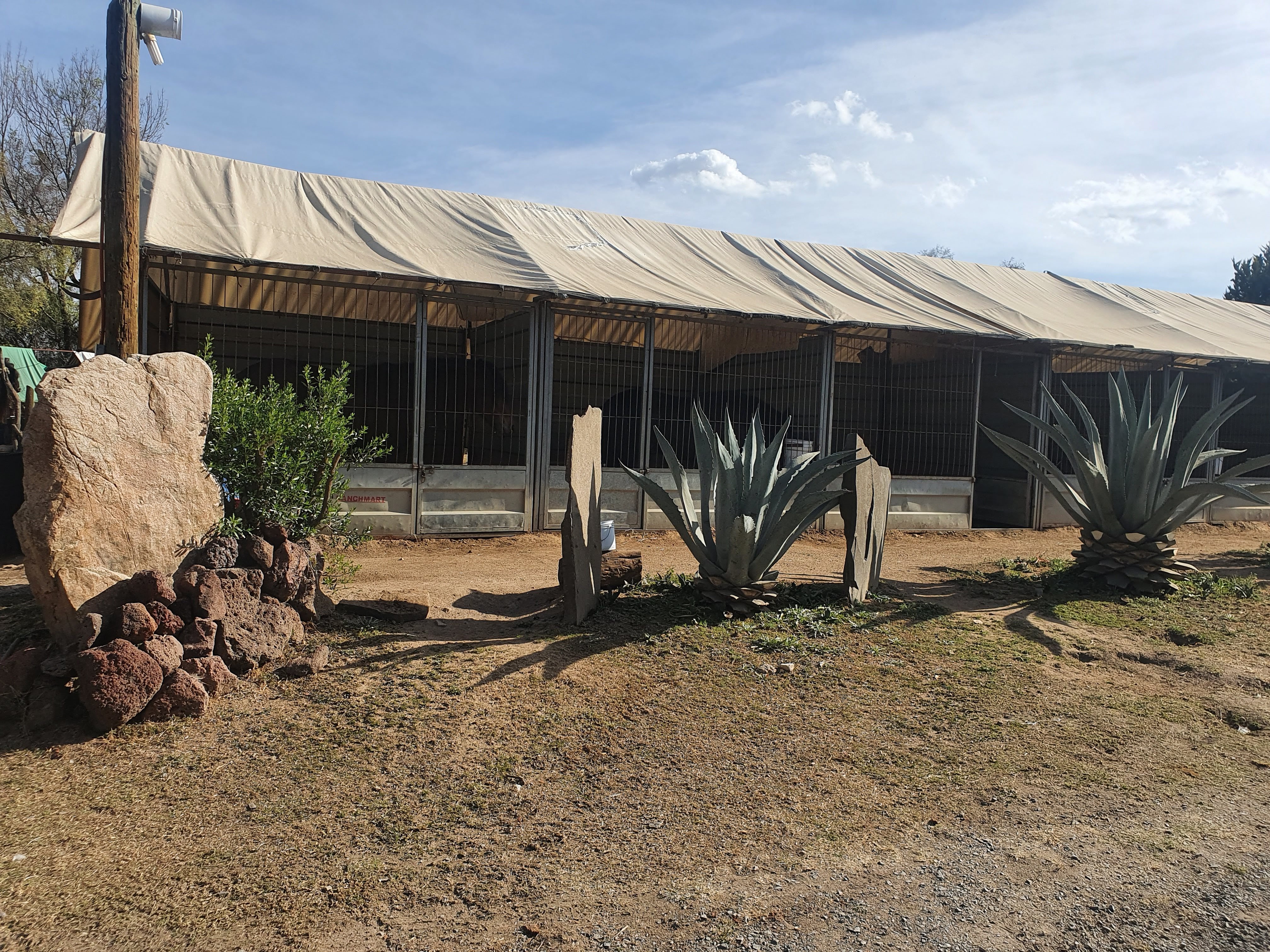 Hacienda Los Caballos image 9