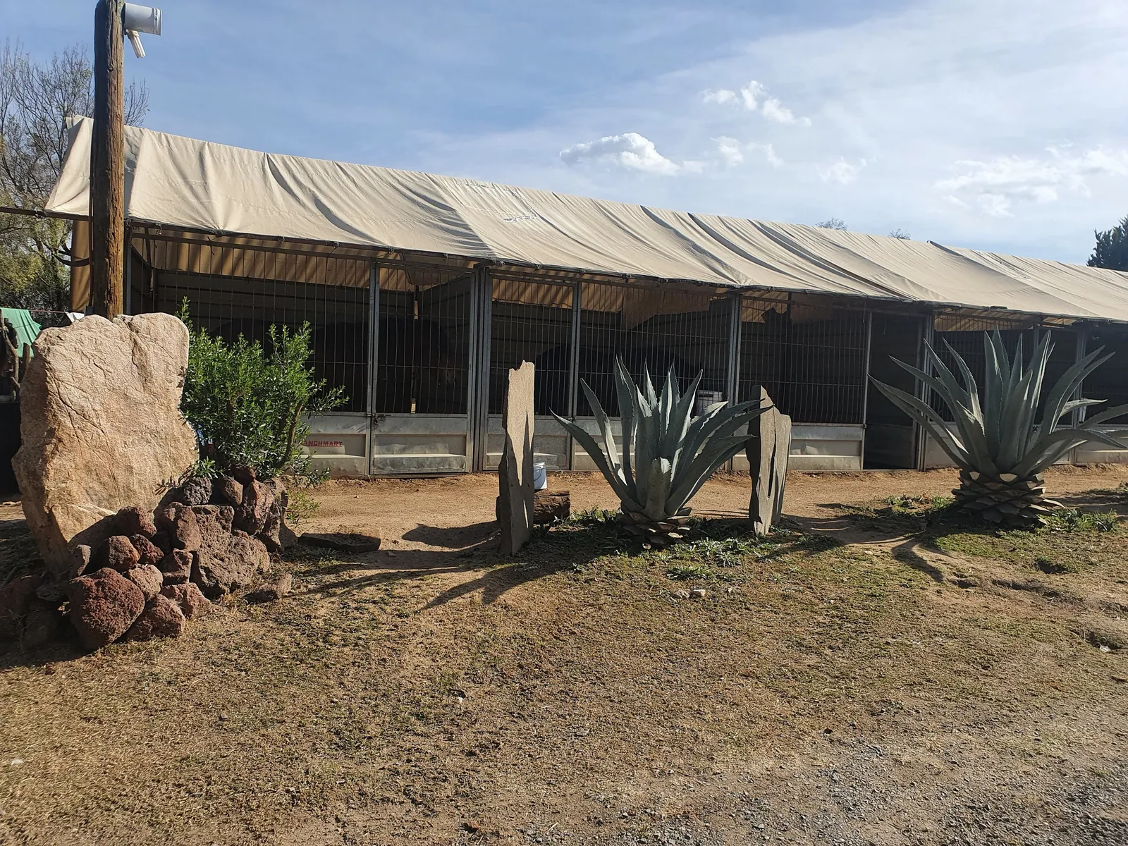 Hacienda Los Caballos image 9