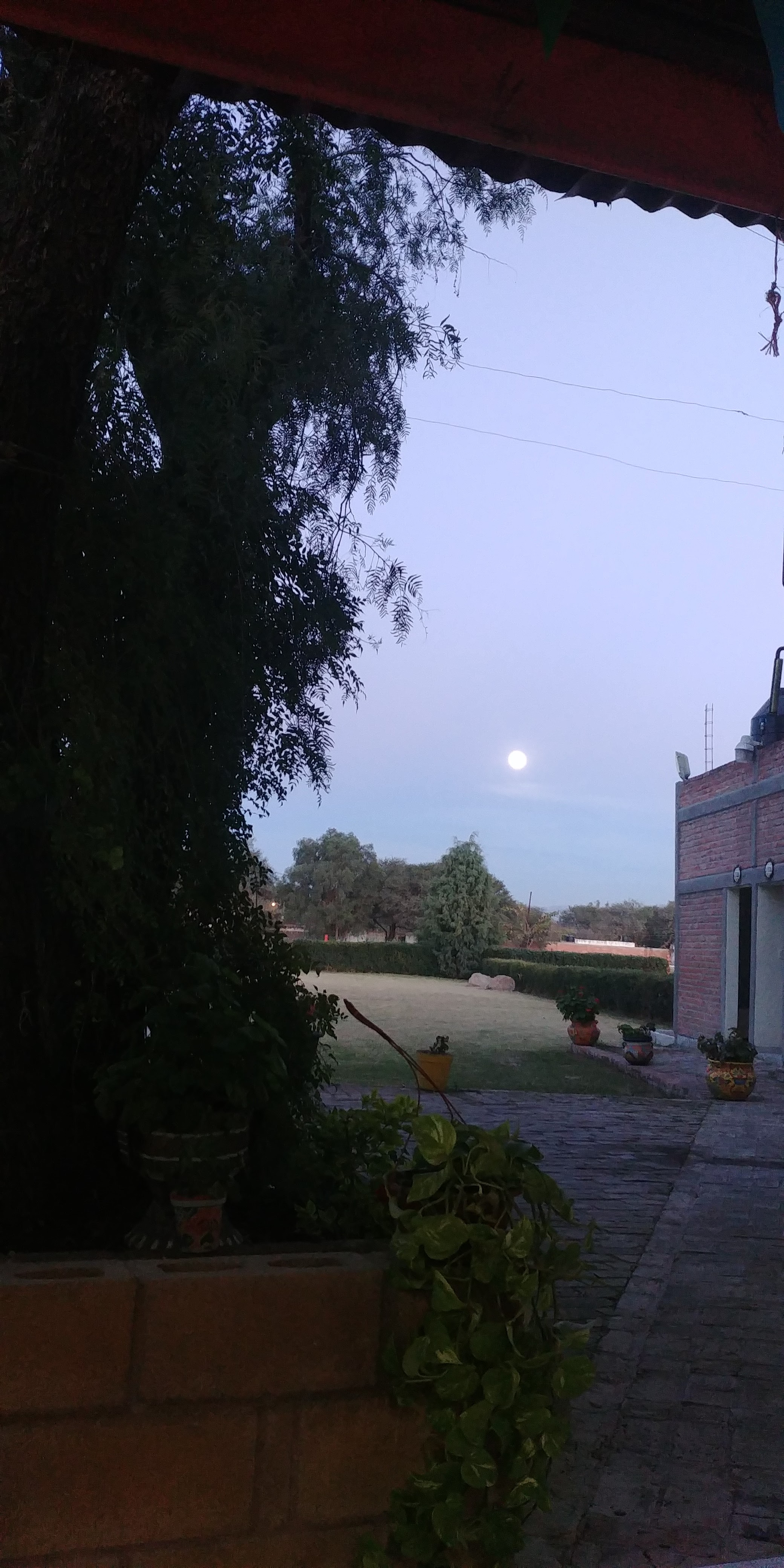 Don Pro La Granja Restaurante image 7