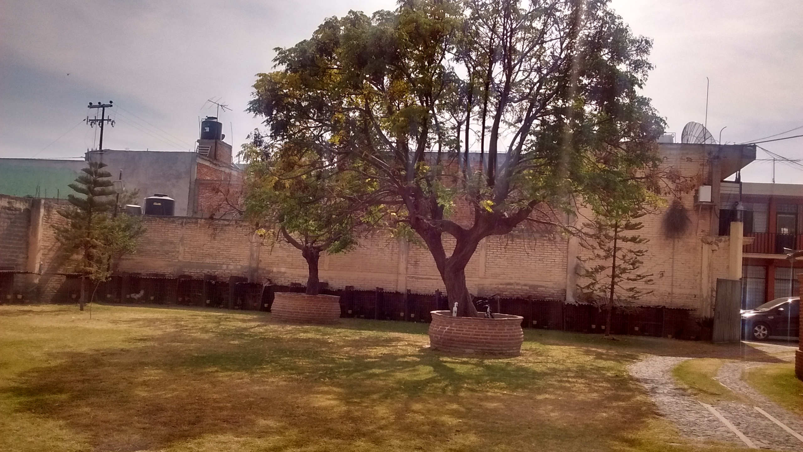 La Finca de Benja image 3