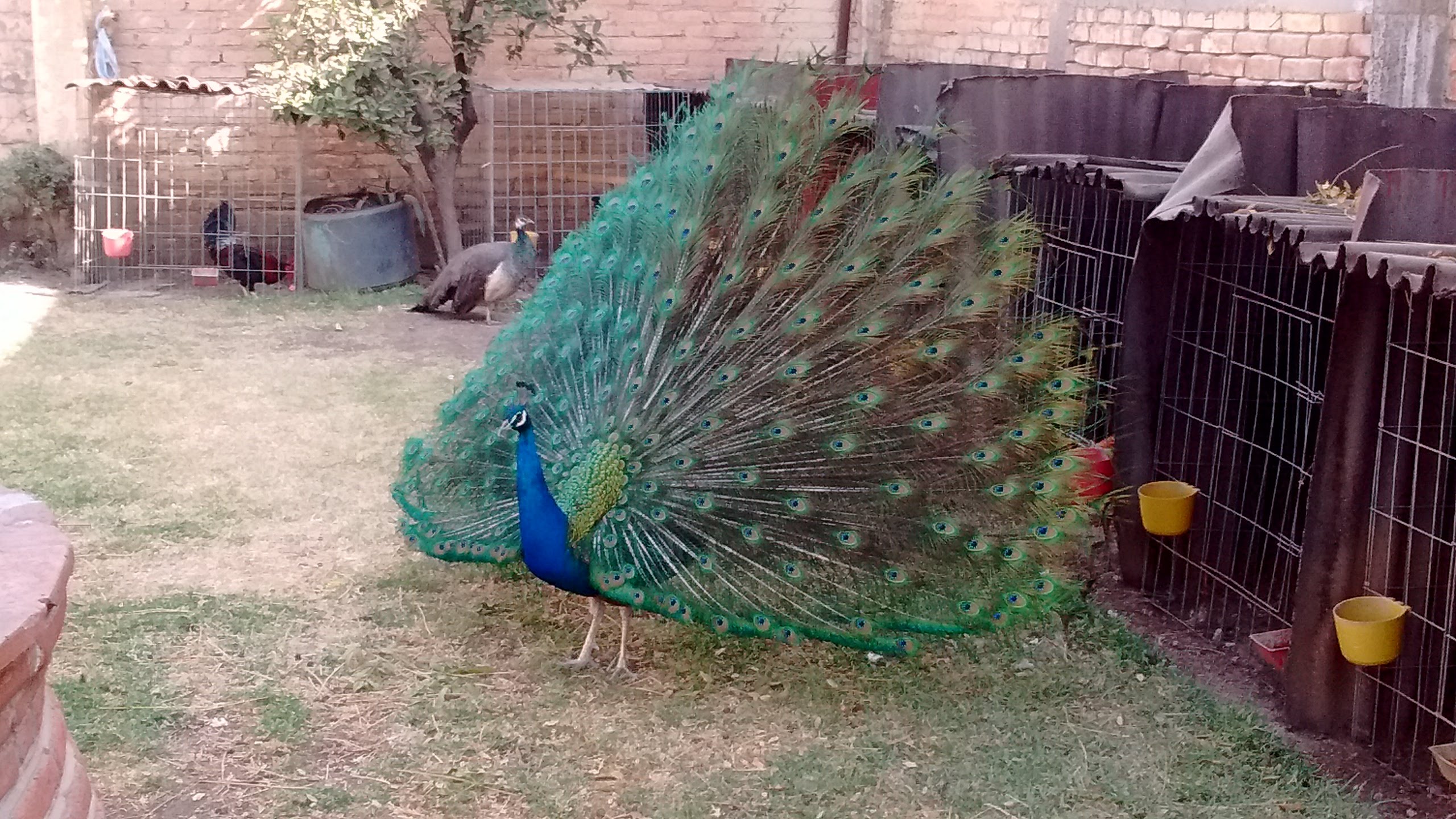 La Finca de Benja image 8