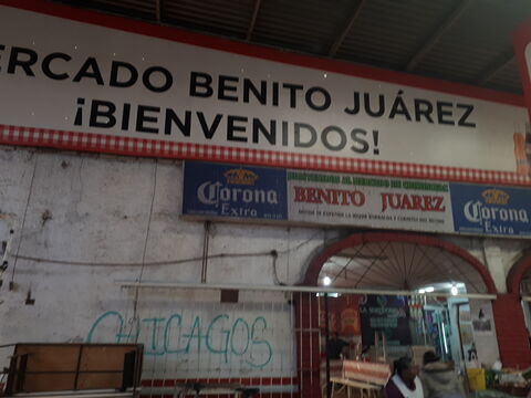 El Borrego de Oro image 2