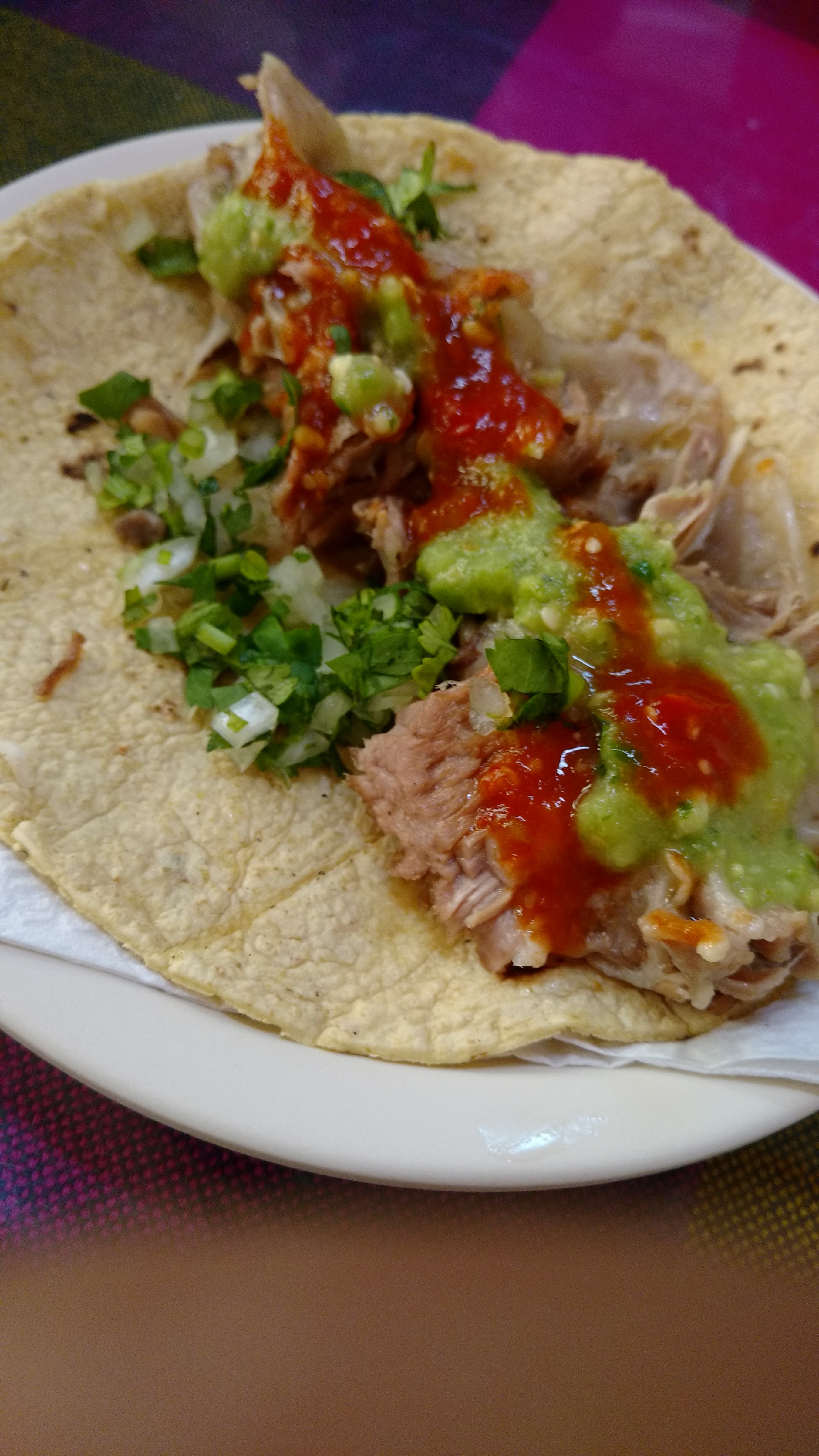 El Borrego de Oro image 5