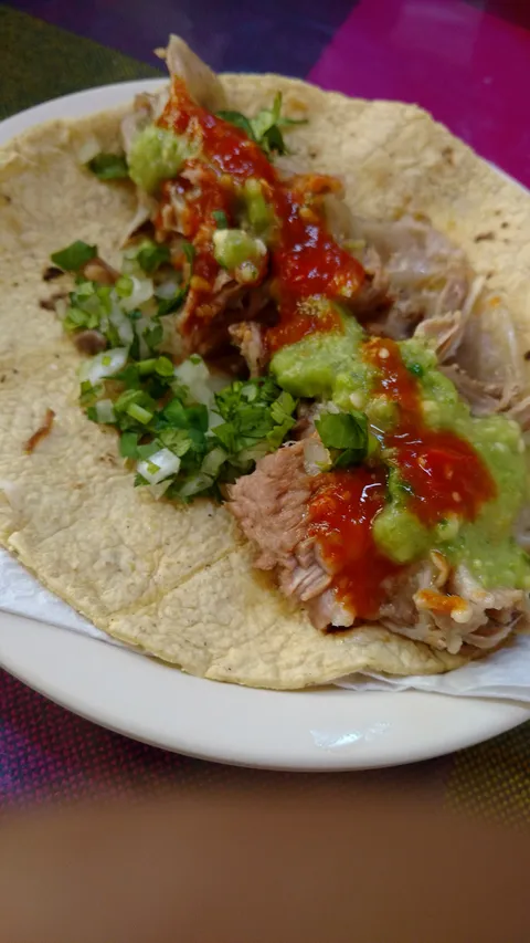 El Borrego de Oro image 5