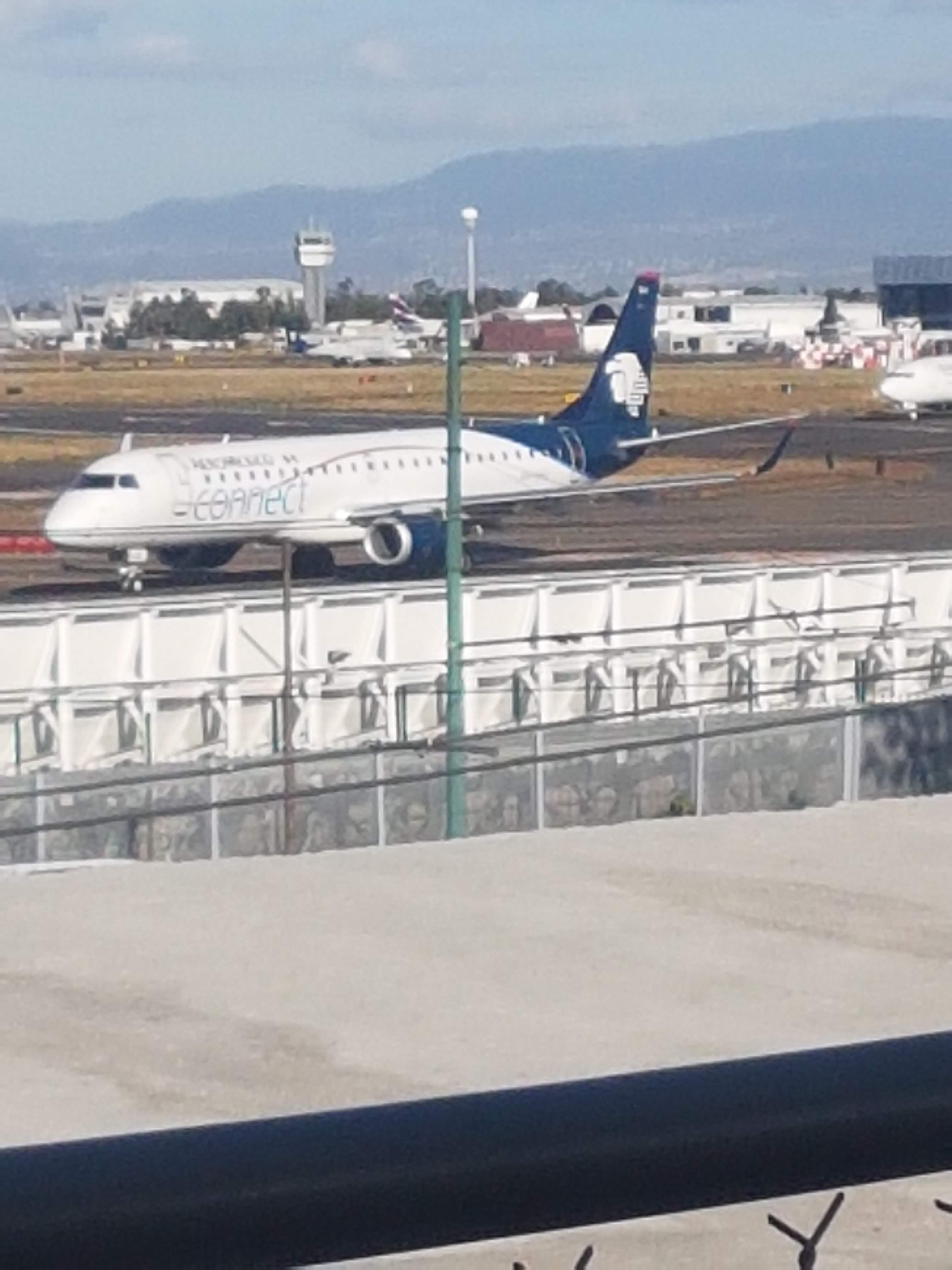 El Borrego de Oro image 6