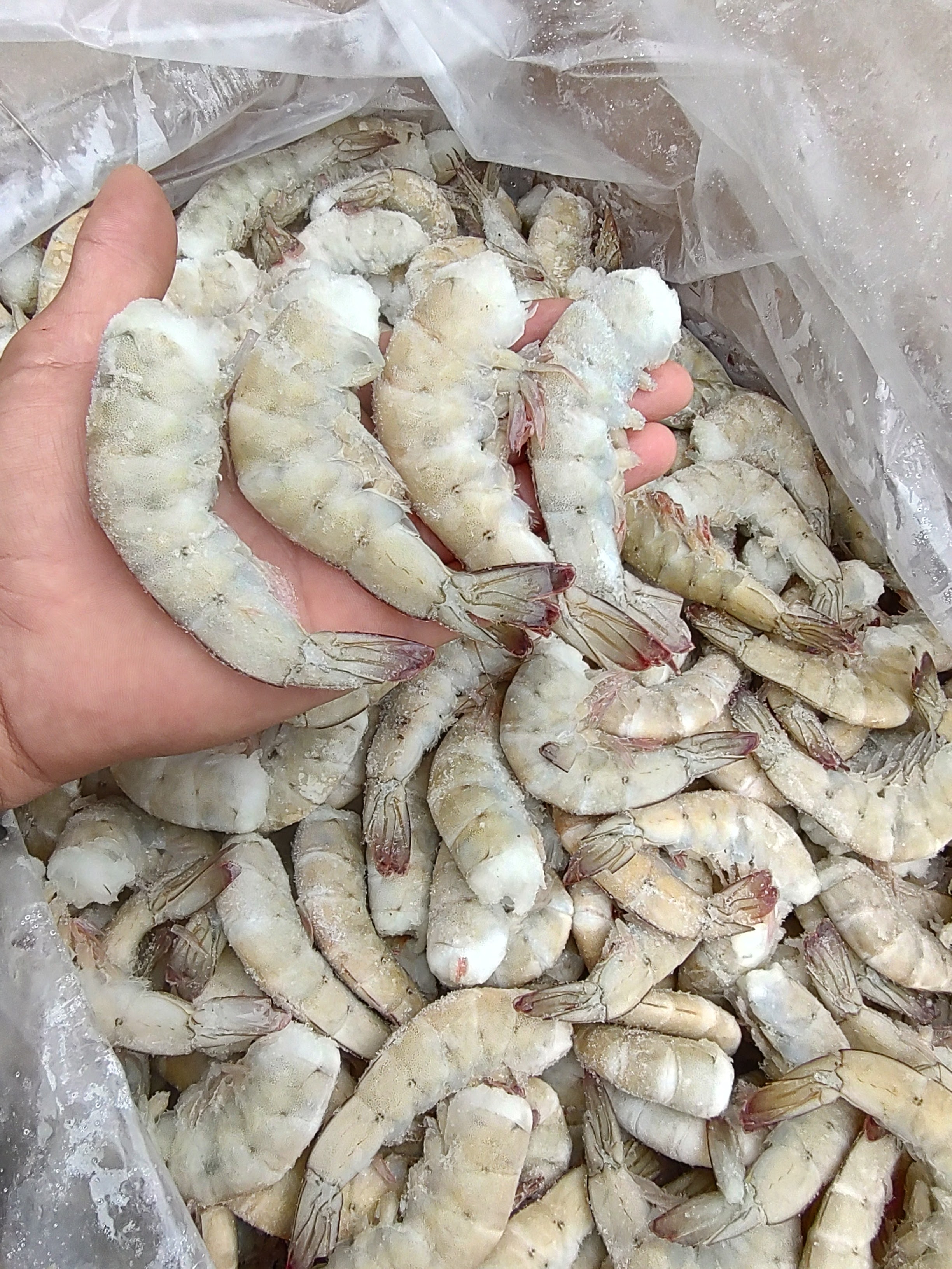 Pescadería y Marisquería image 5