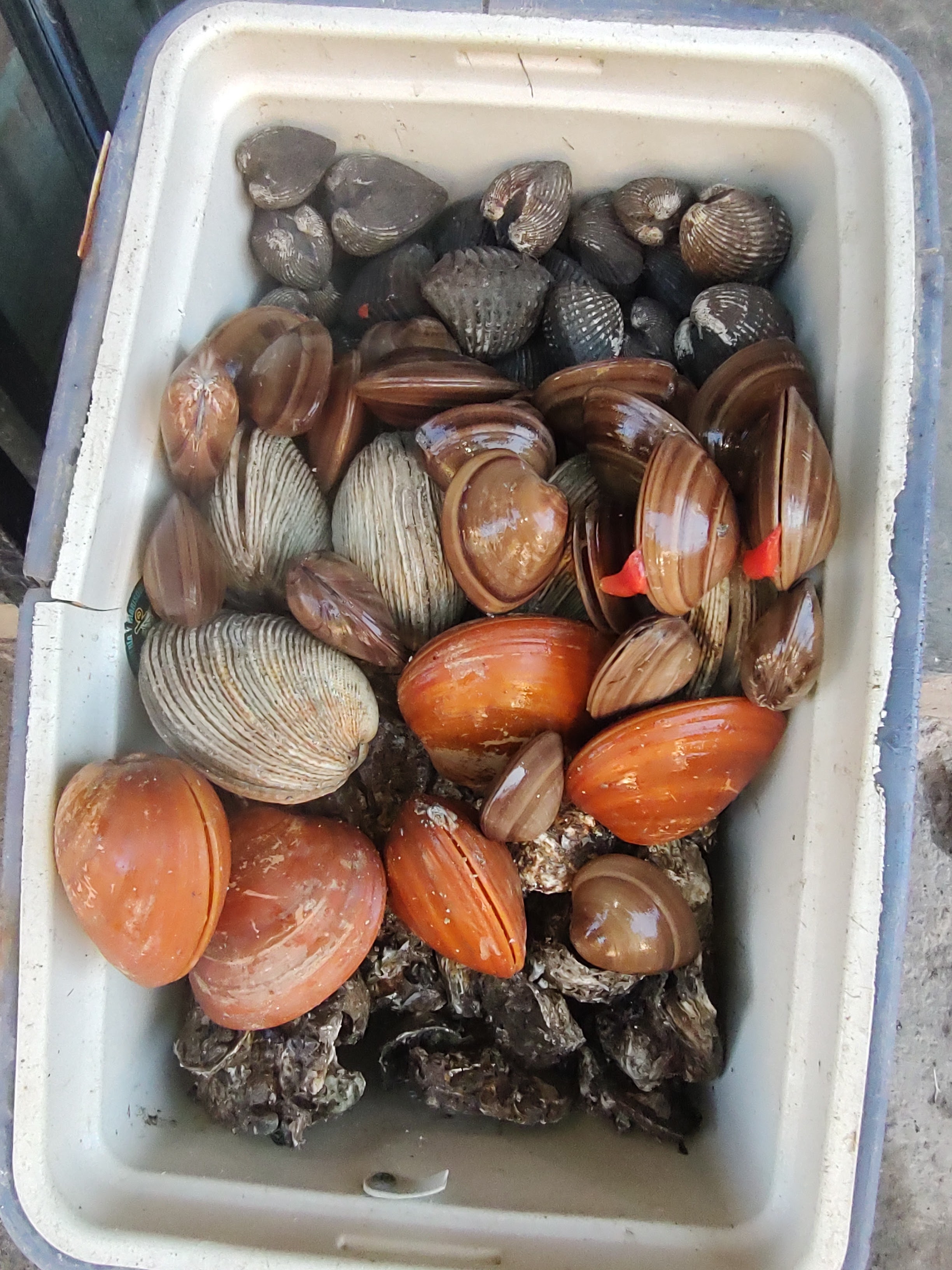 Pescadería y Marisquería image 7