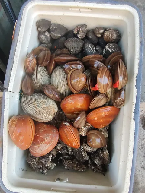 Pescadería y Marisquería image 7