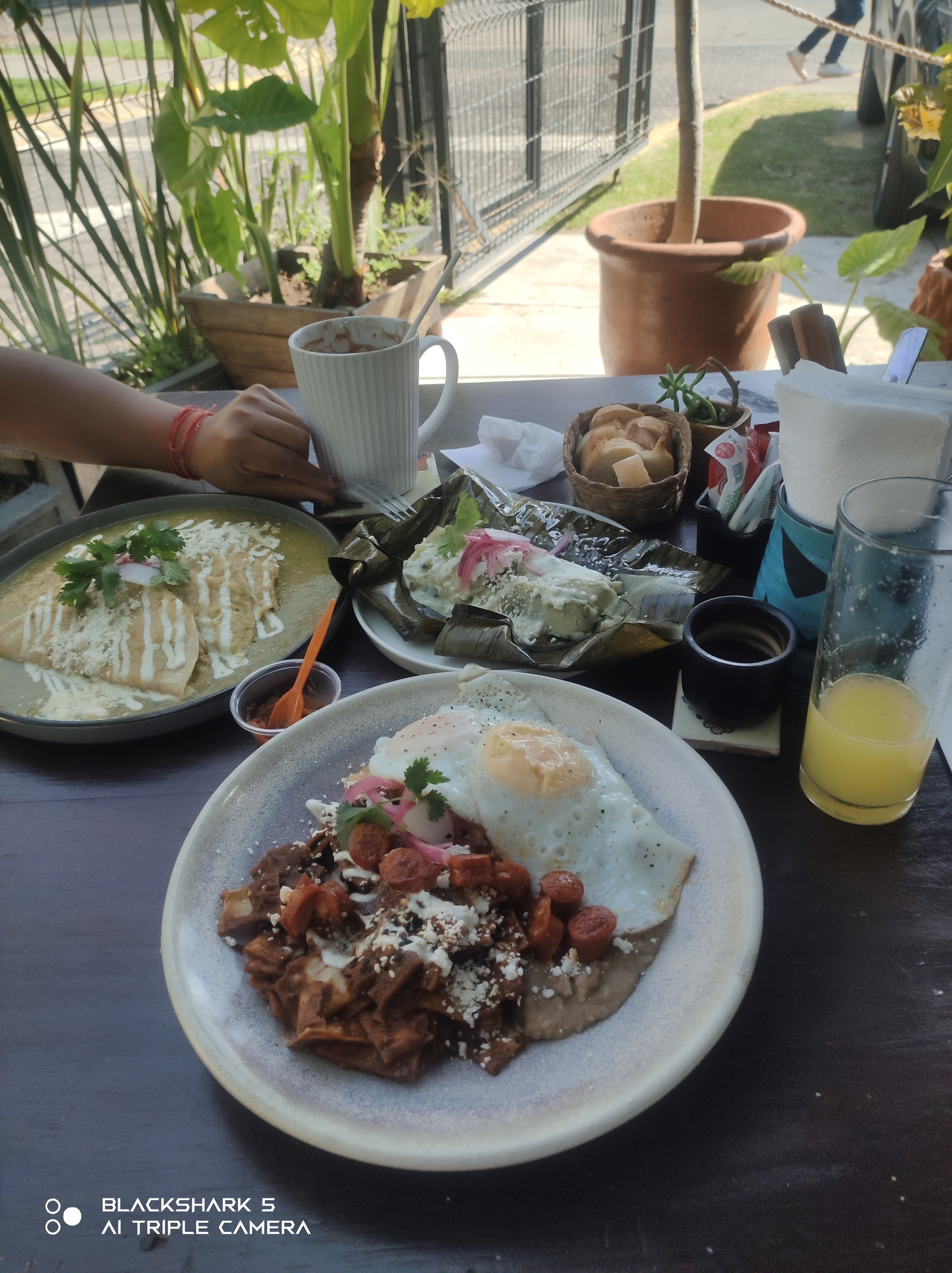 Goya Restaurante image 7