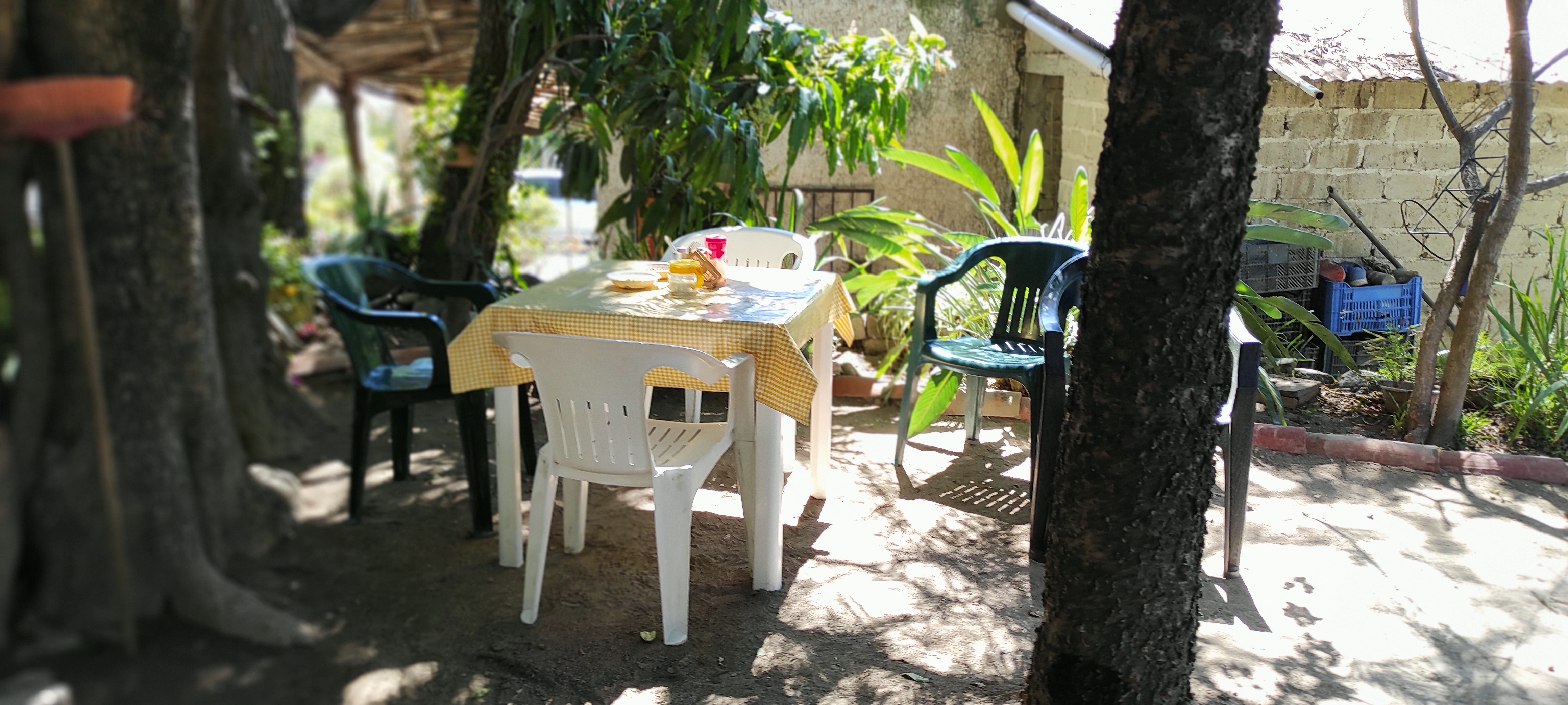 Comida a la leña "Doña Ernest" image 1