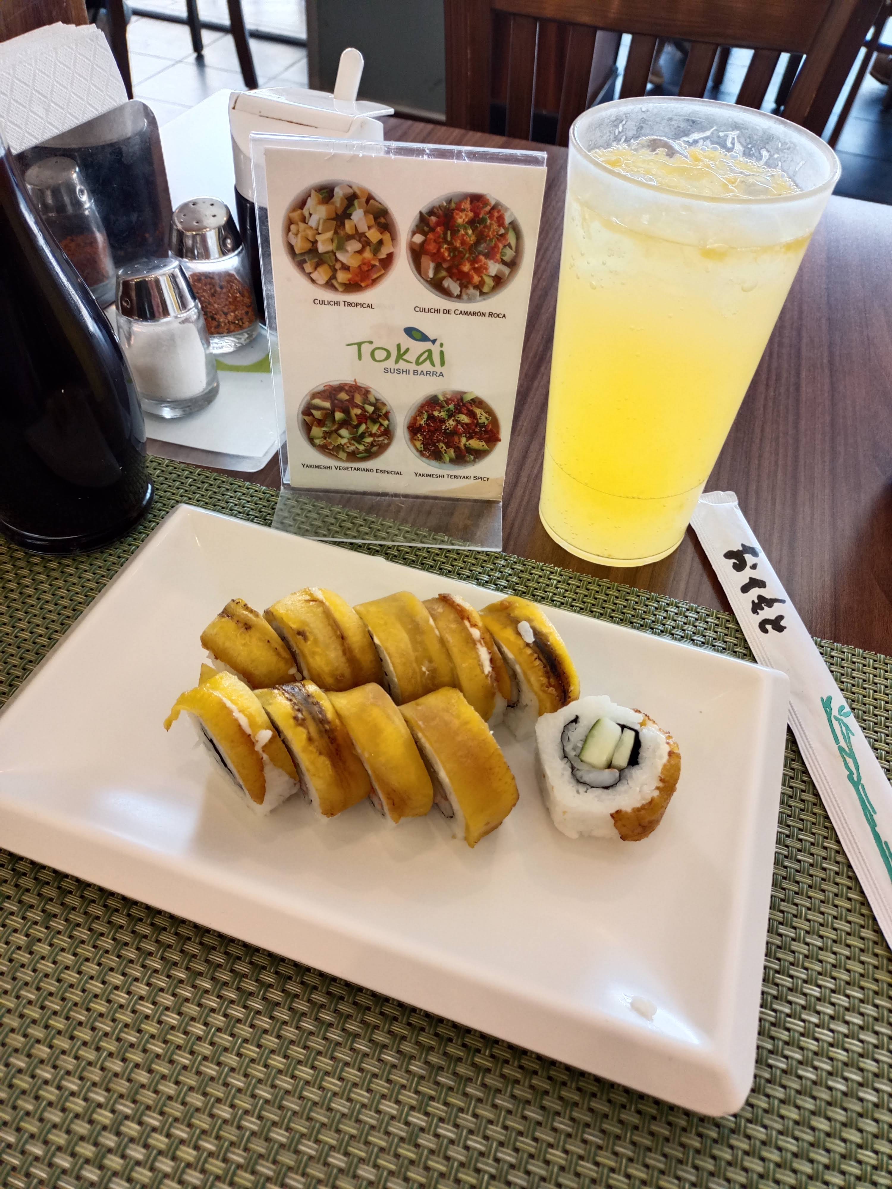 Tokai Boreales image 6