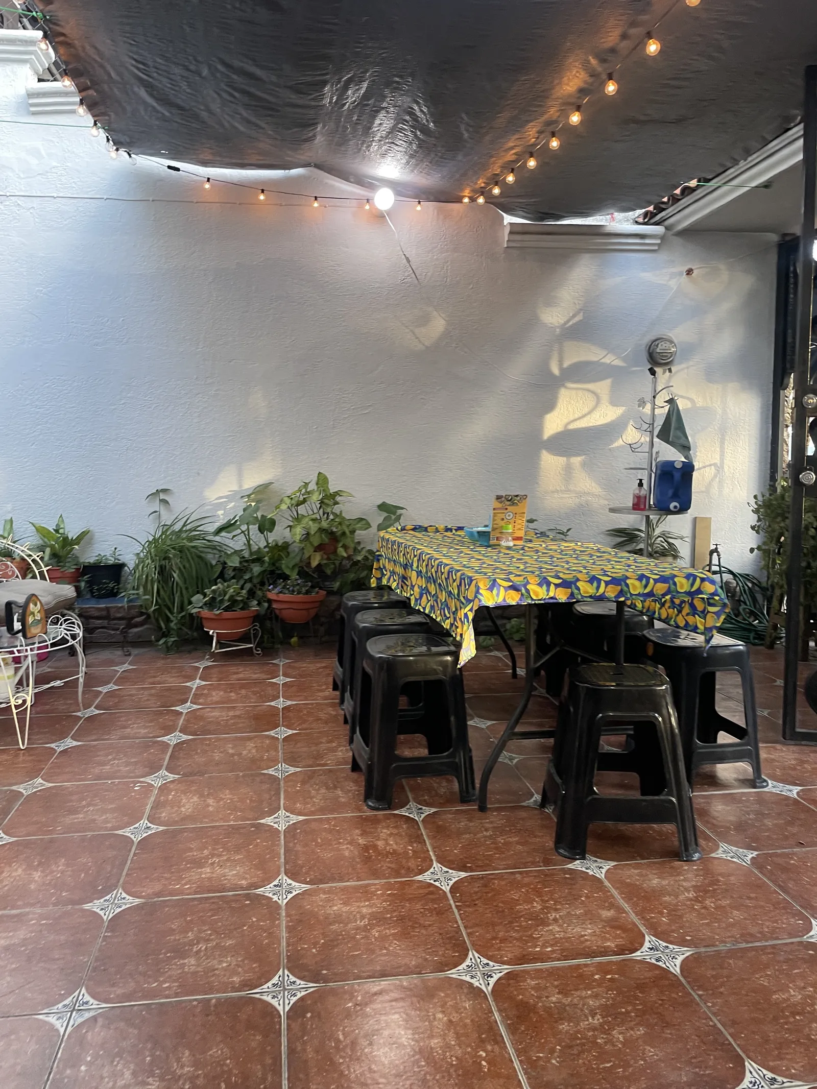 Cenaduría La Ilusión image 6