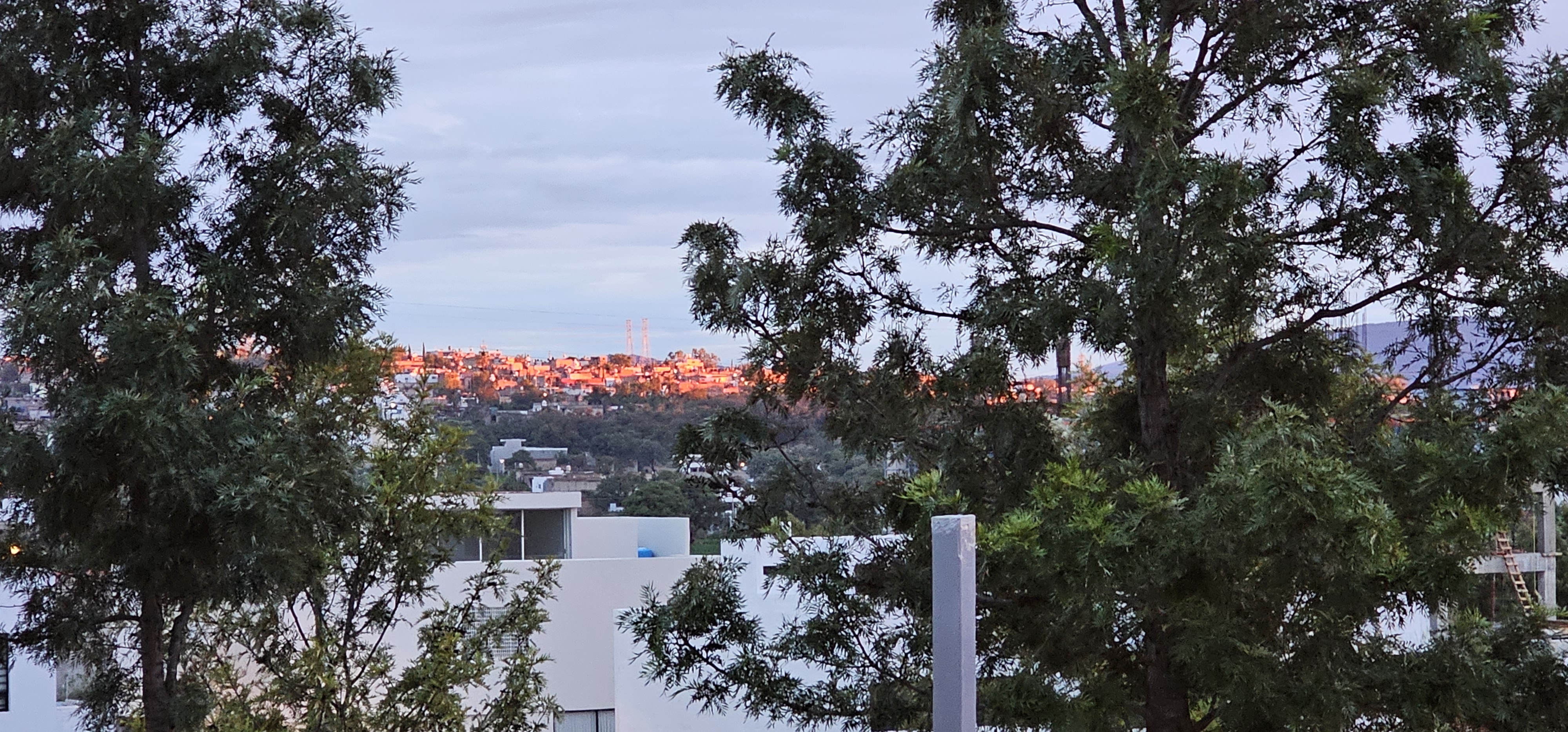 RESTAURANTE LA AZUCENA image 2