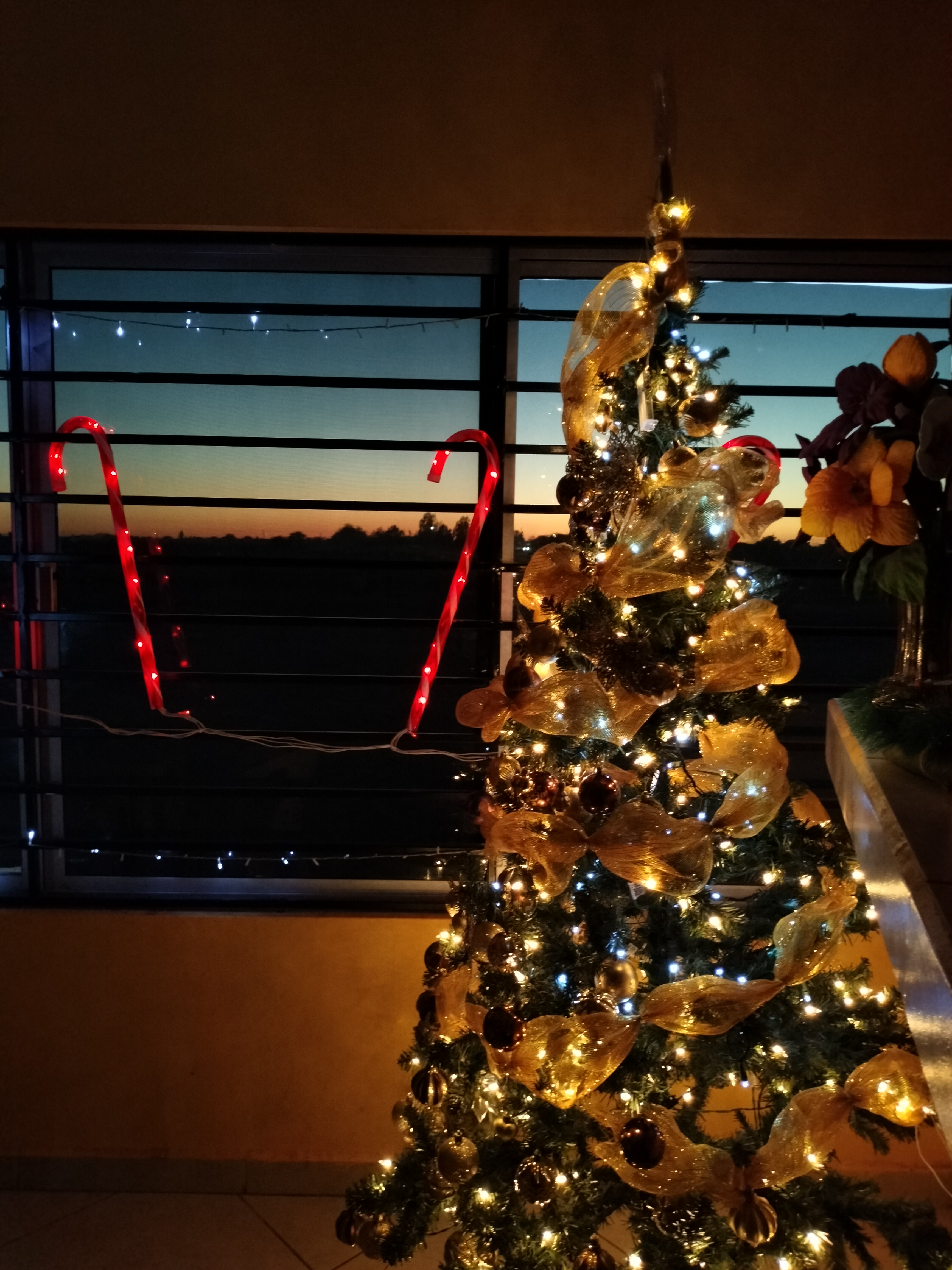 Taquería El Paricutín image 7