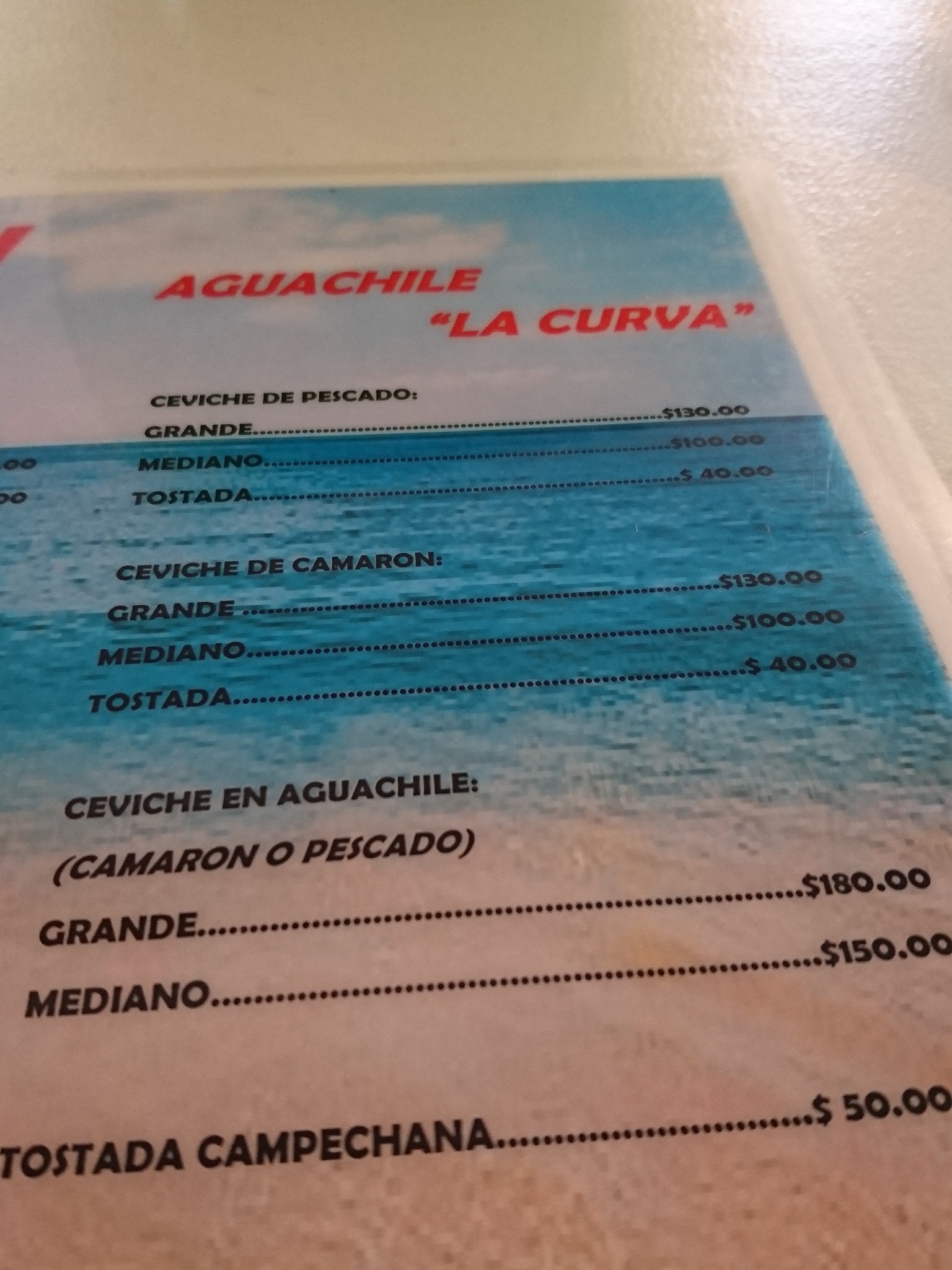 Agua chile La Curva image 9