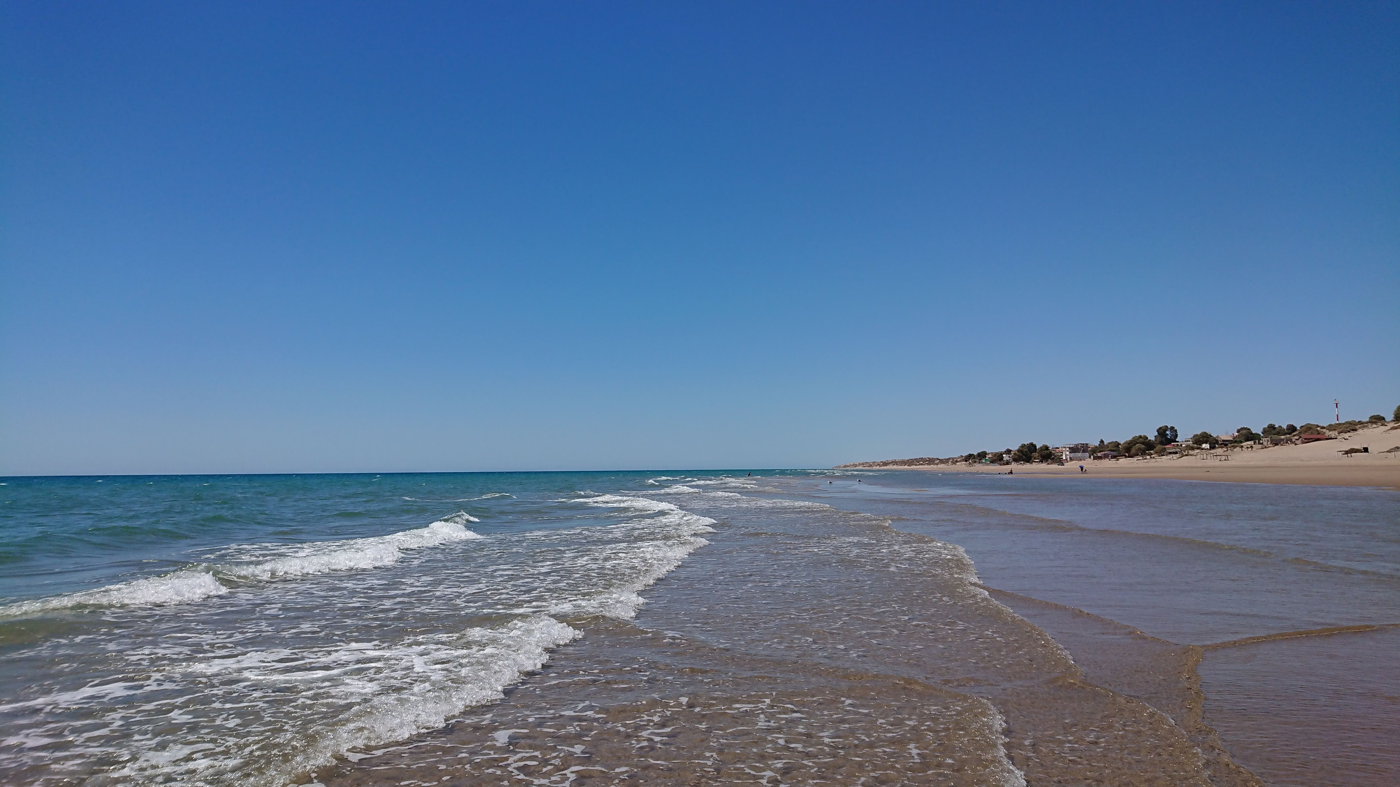 Mariscos Doña Mary V image 2