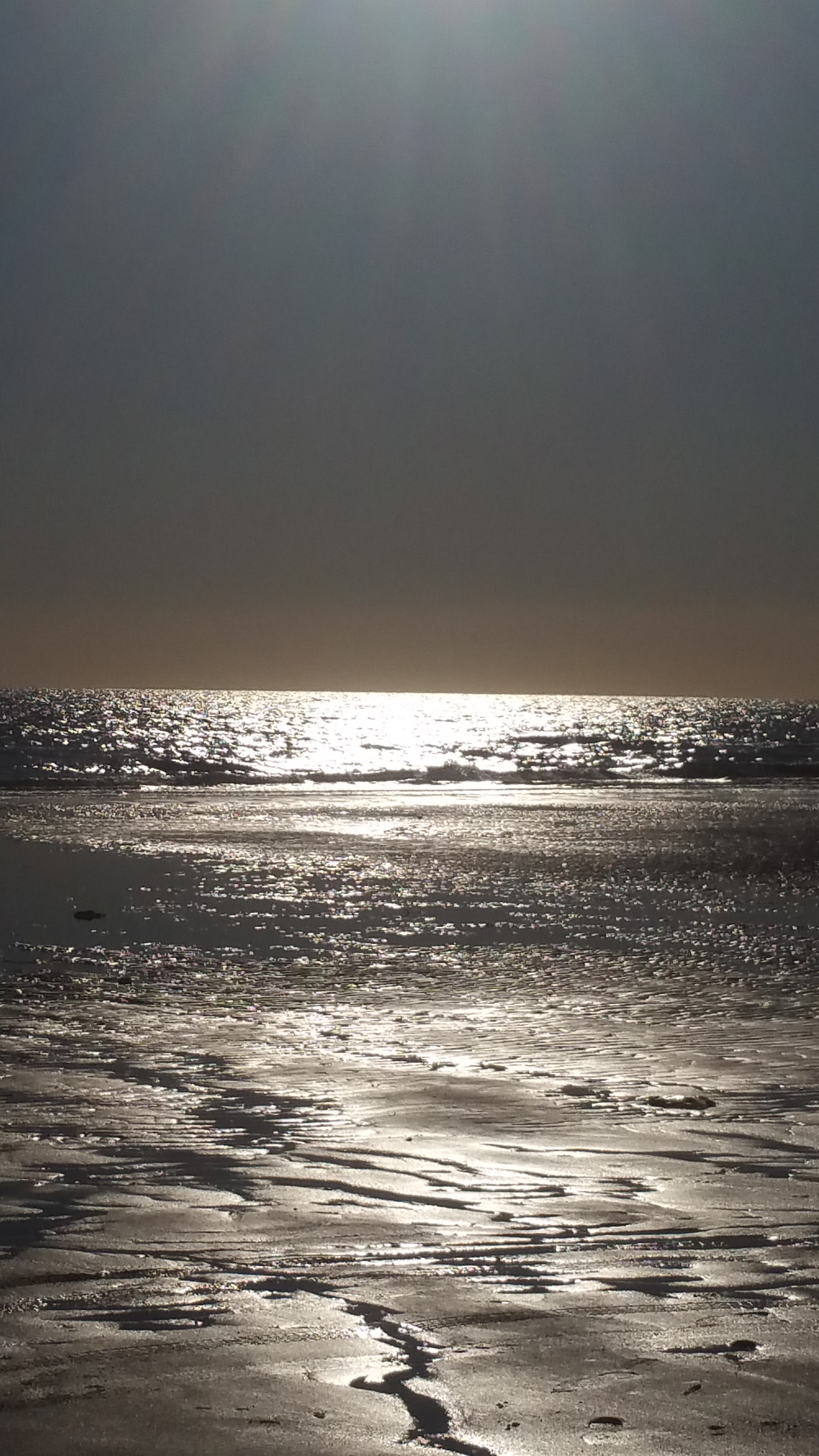 Mariscos Doña Mary V image 6